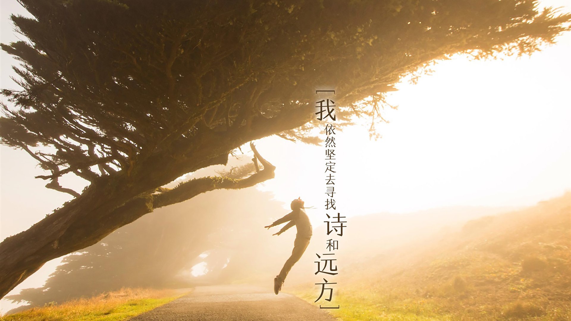 文字,旅行,语录