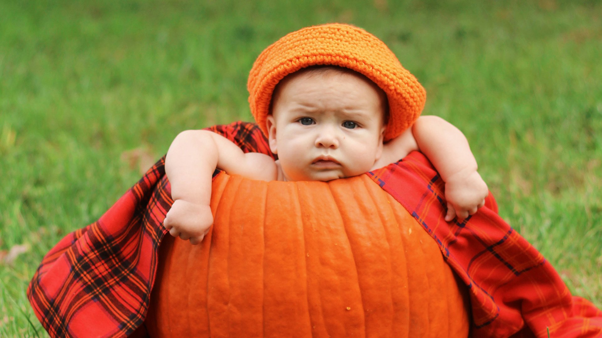 baby,可爱,宝宝,南瓜