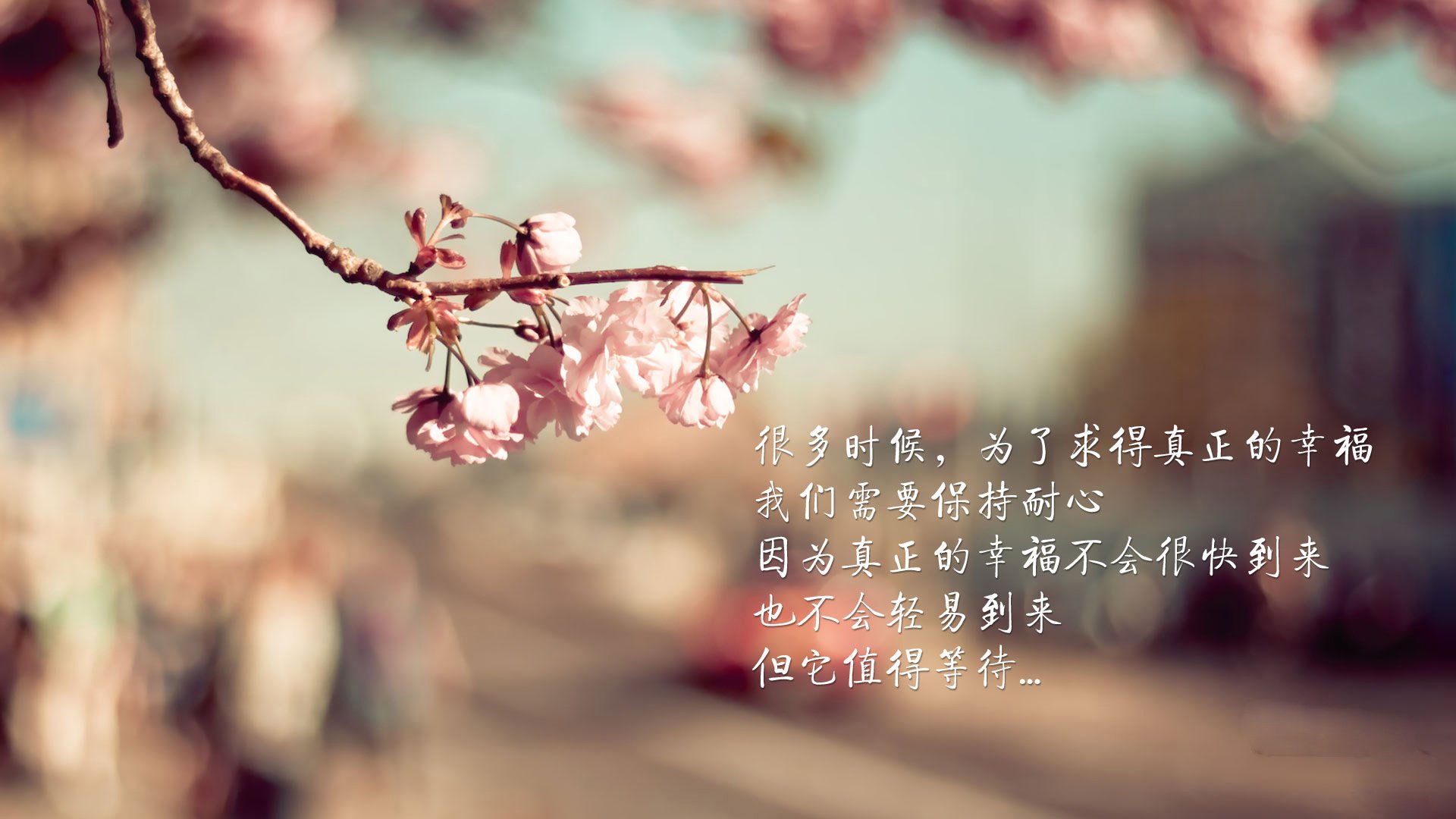 文字,唯美,桃花