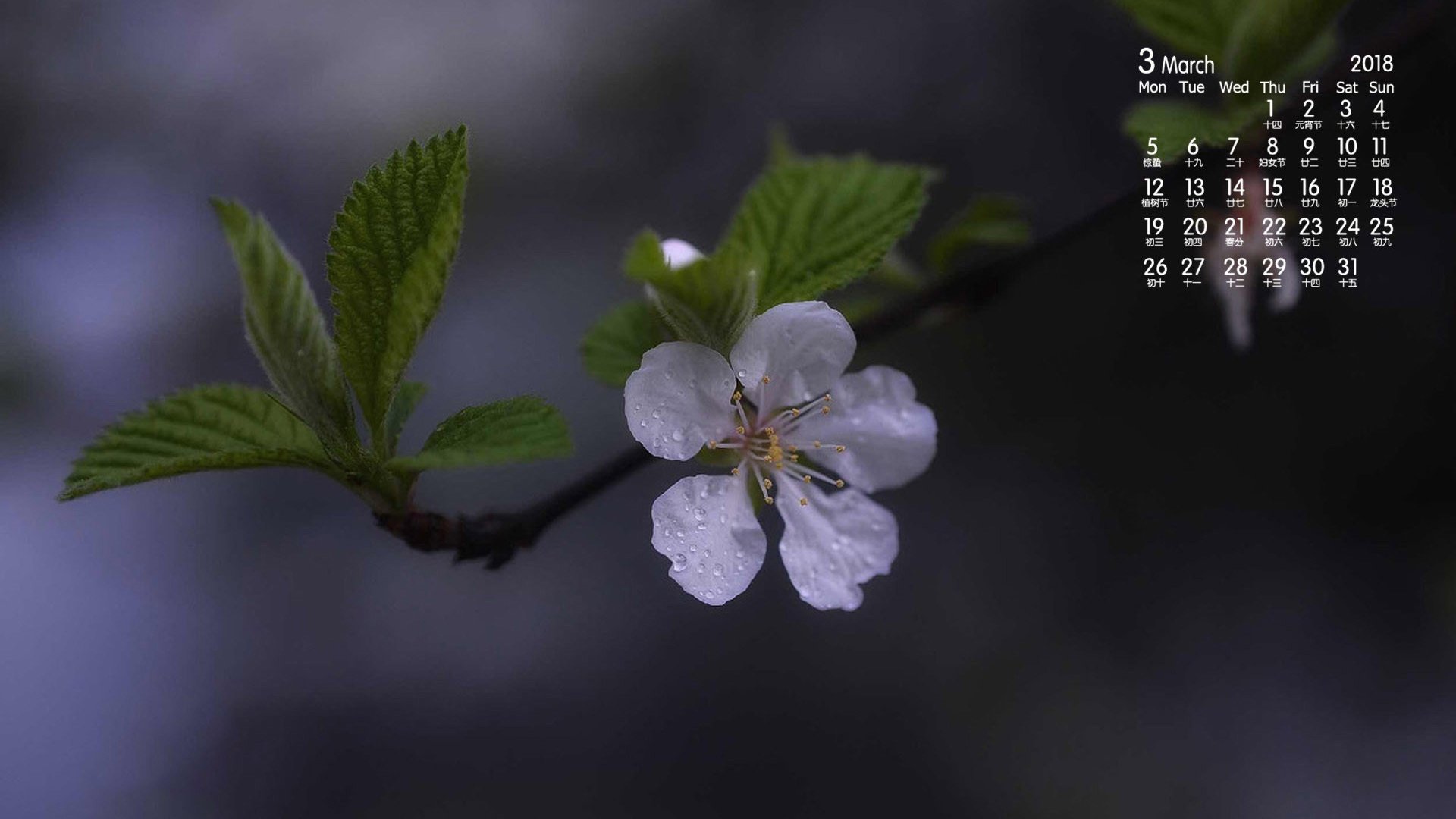 月历,2018年3月