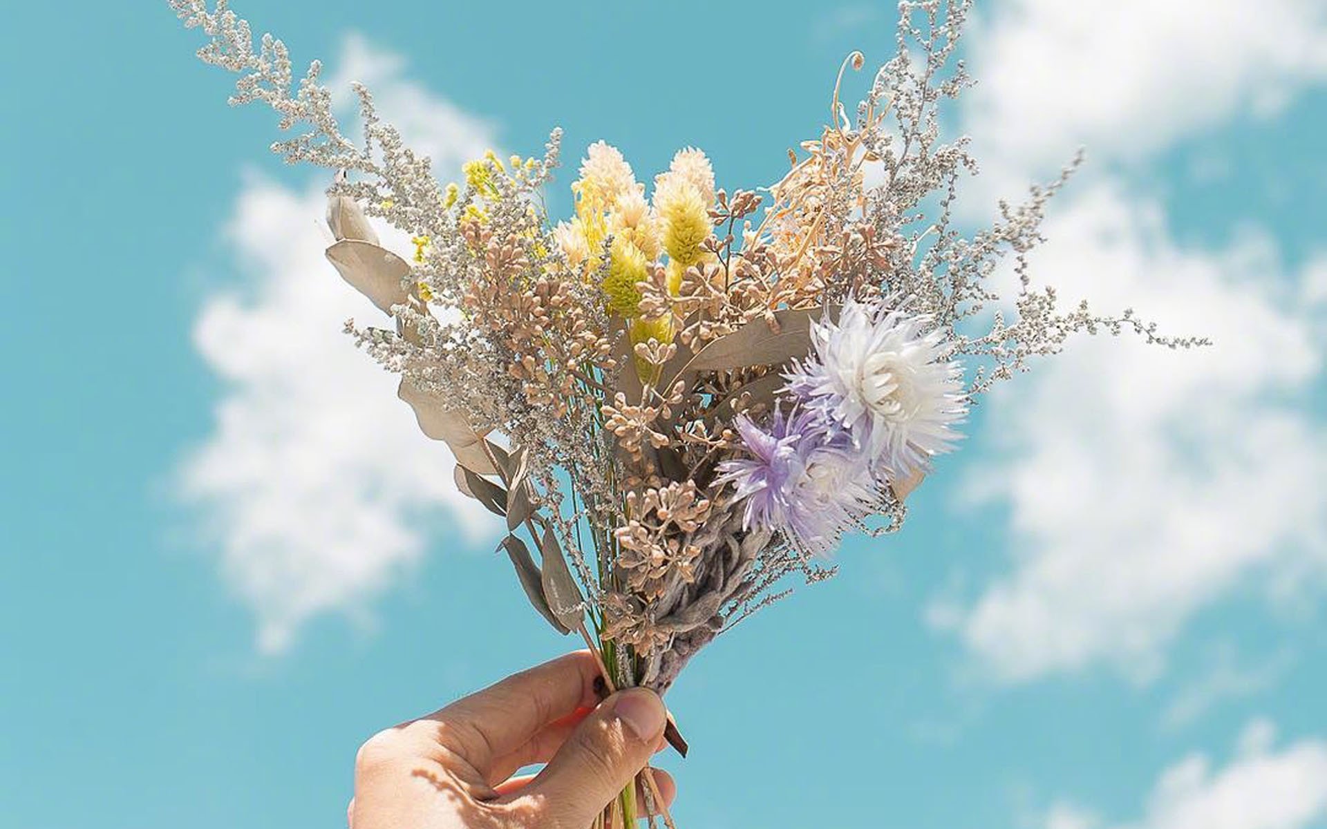 小清新,清新淡雅