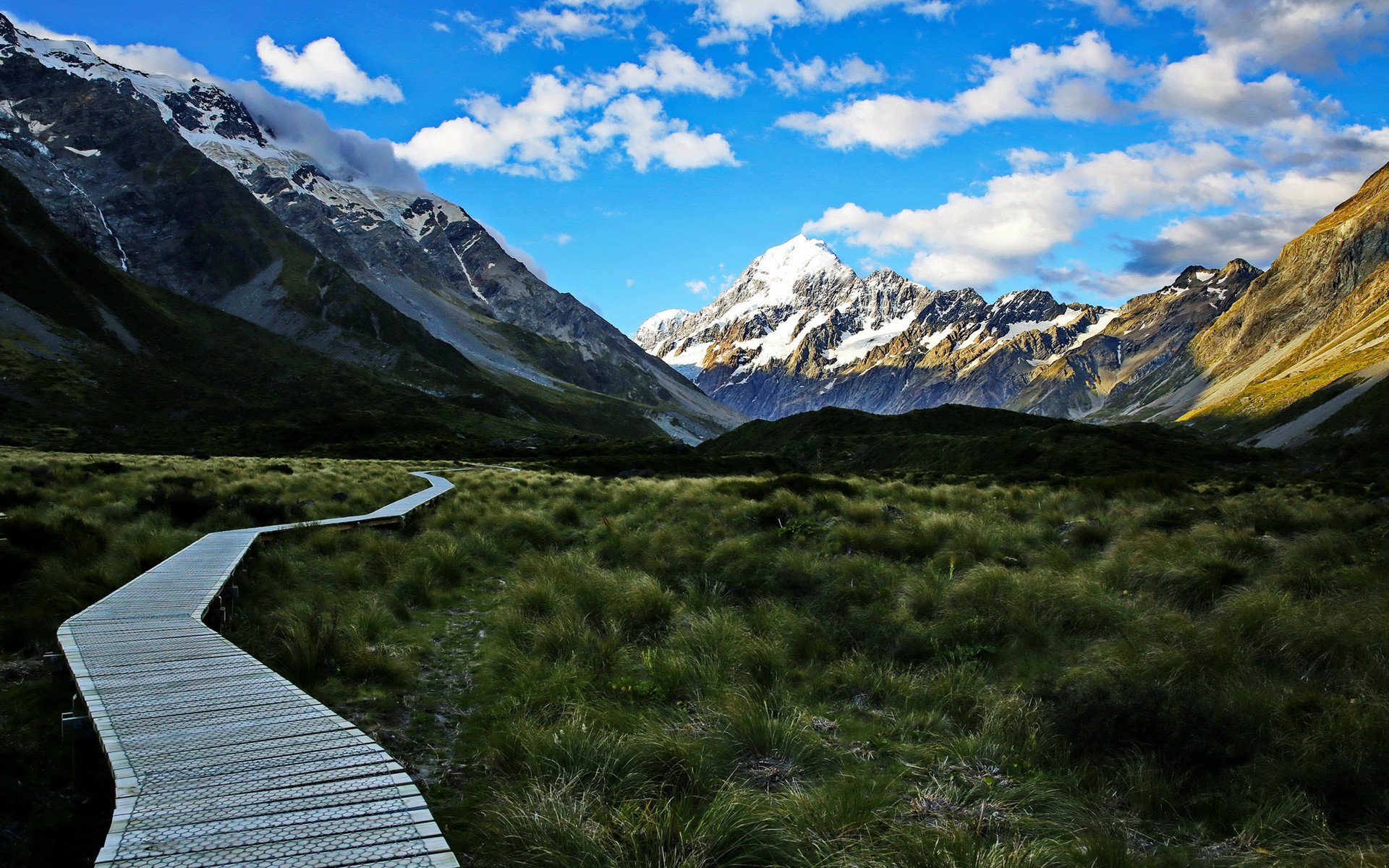 风景,自然风光,草甸,草地,远山
