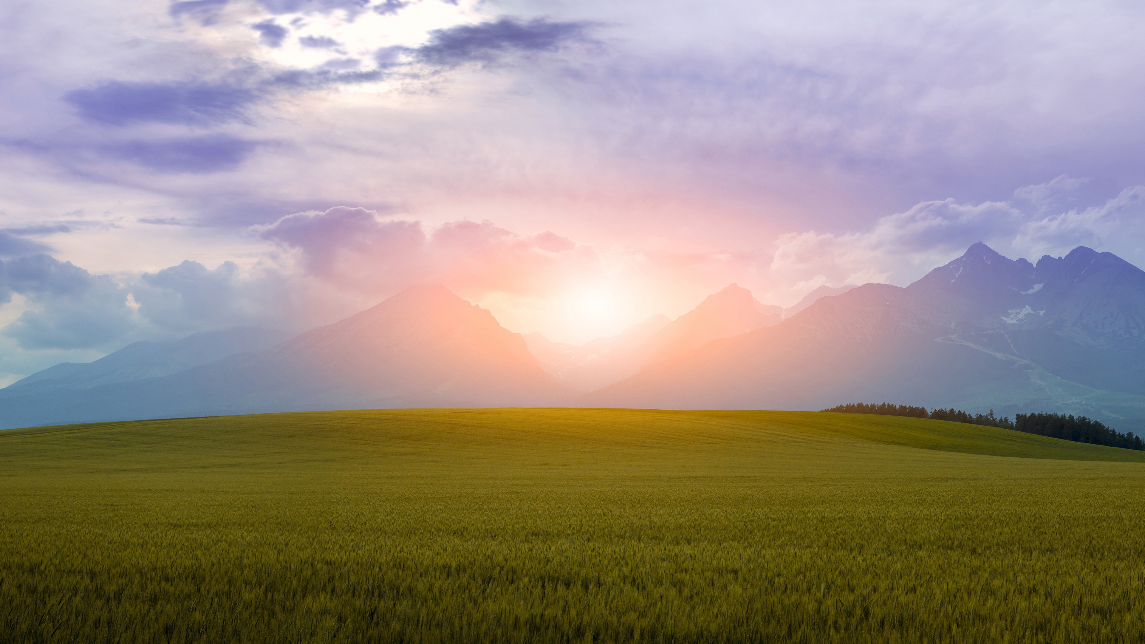 4K,风景,草地,草原,日出