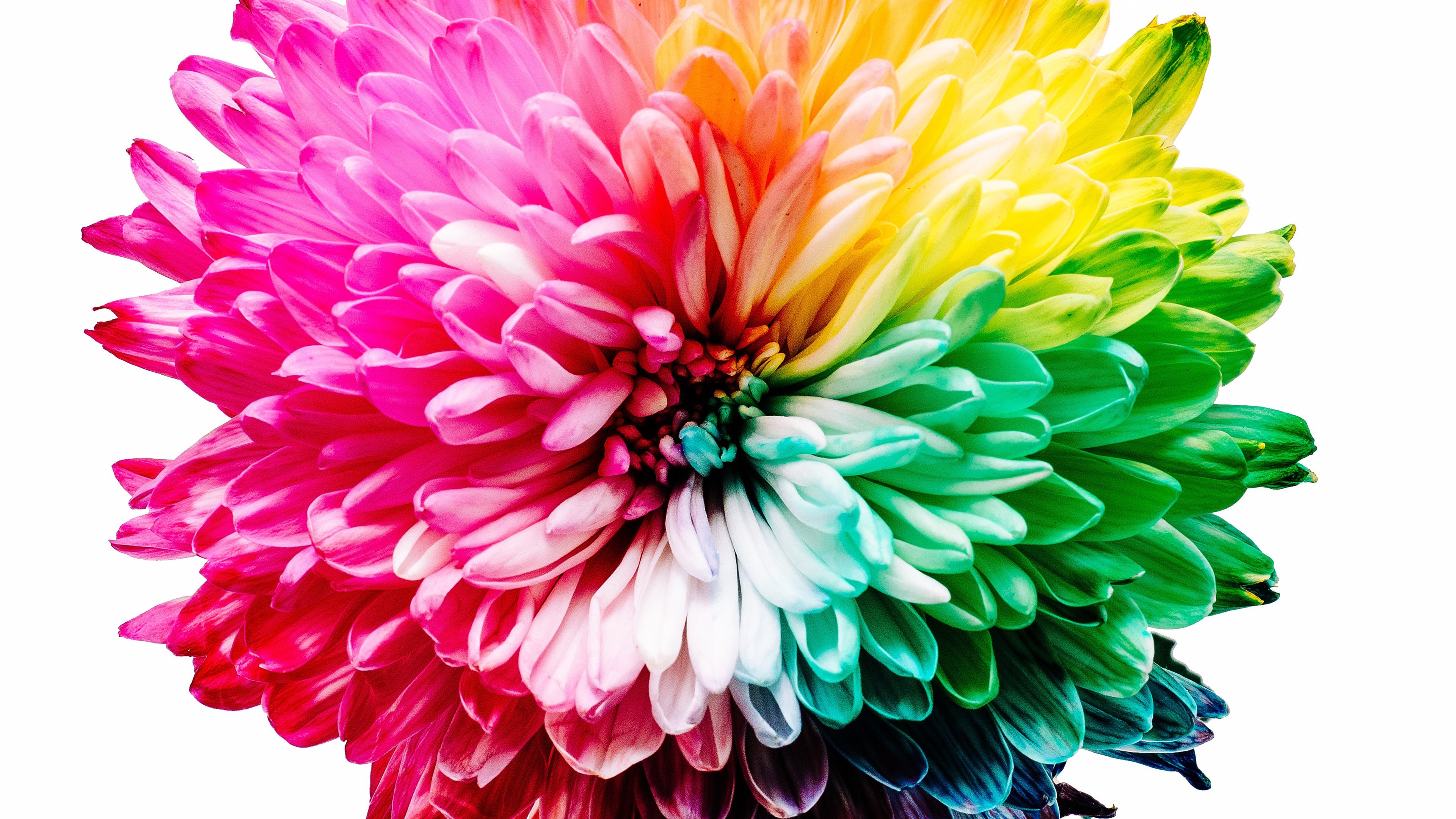 炫酷,色彩,烟雾,流体,爆炸