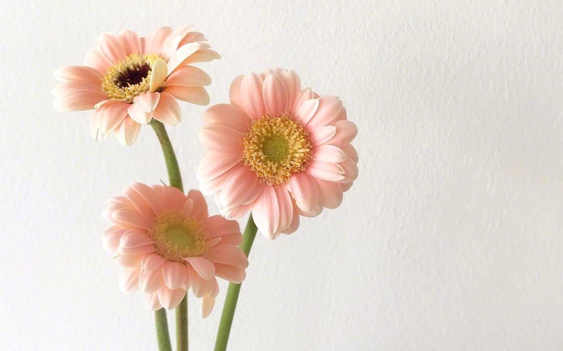 小清新,温馨一刻