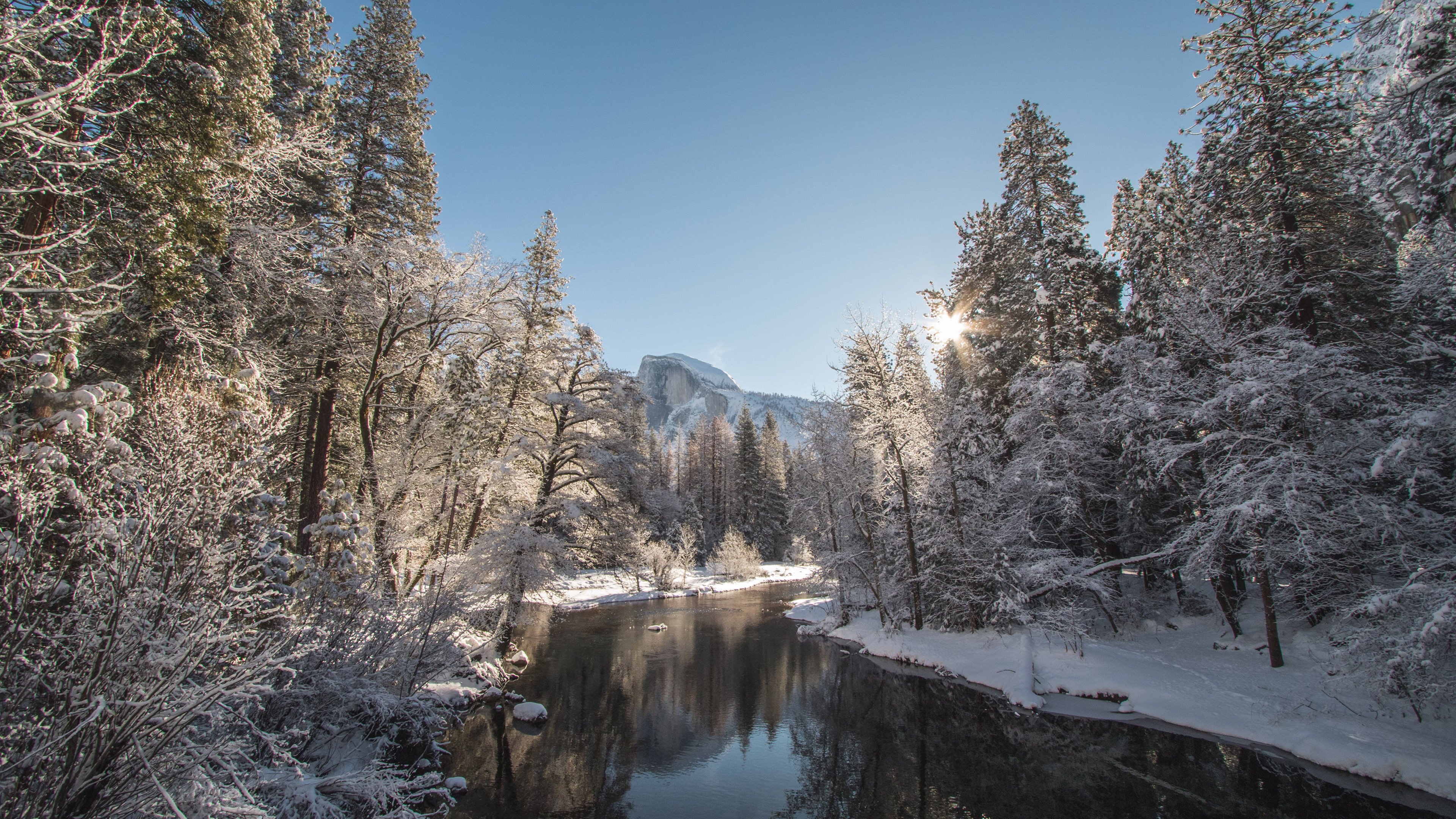 4K,风景,雪景,冬日暖阳,河流,森林
