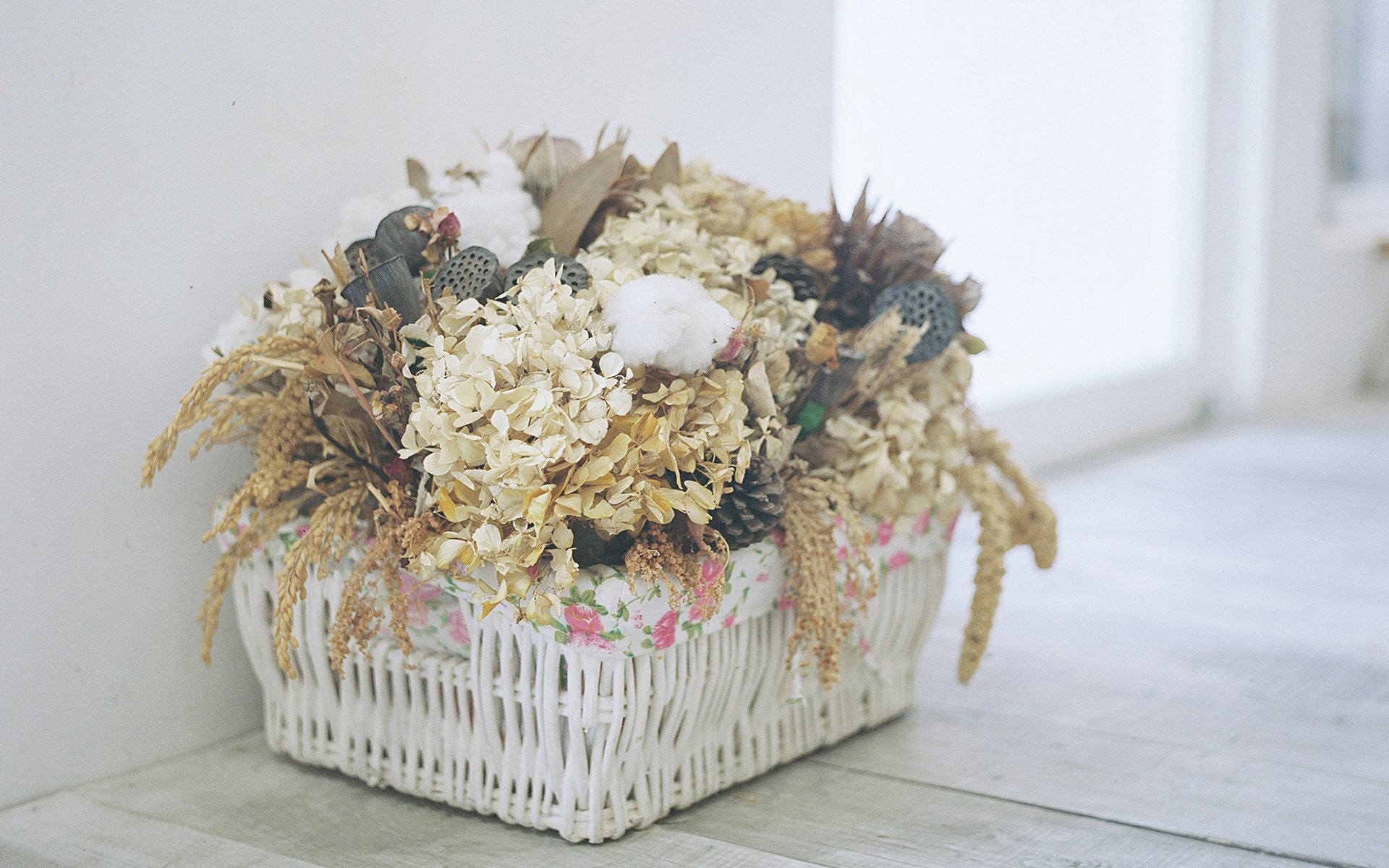 小清新,静物写真