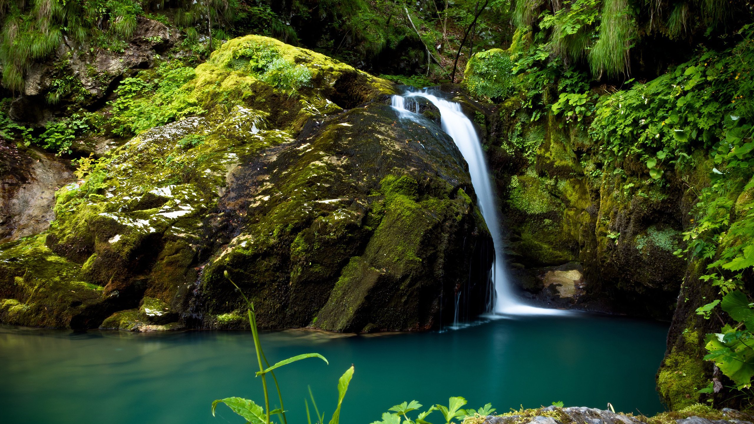 风景,2K,自然风光,溪流
