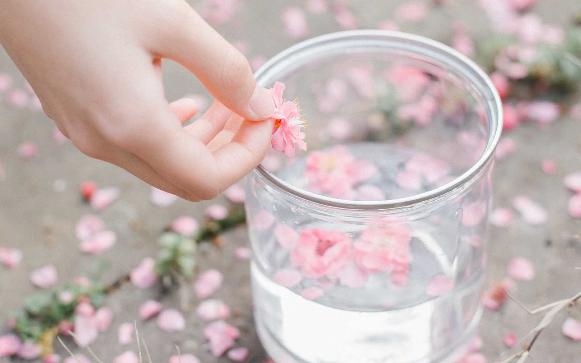 小清新,温馨一刻,桃花