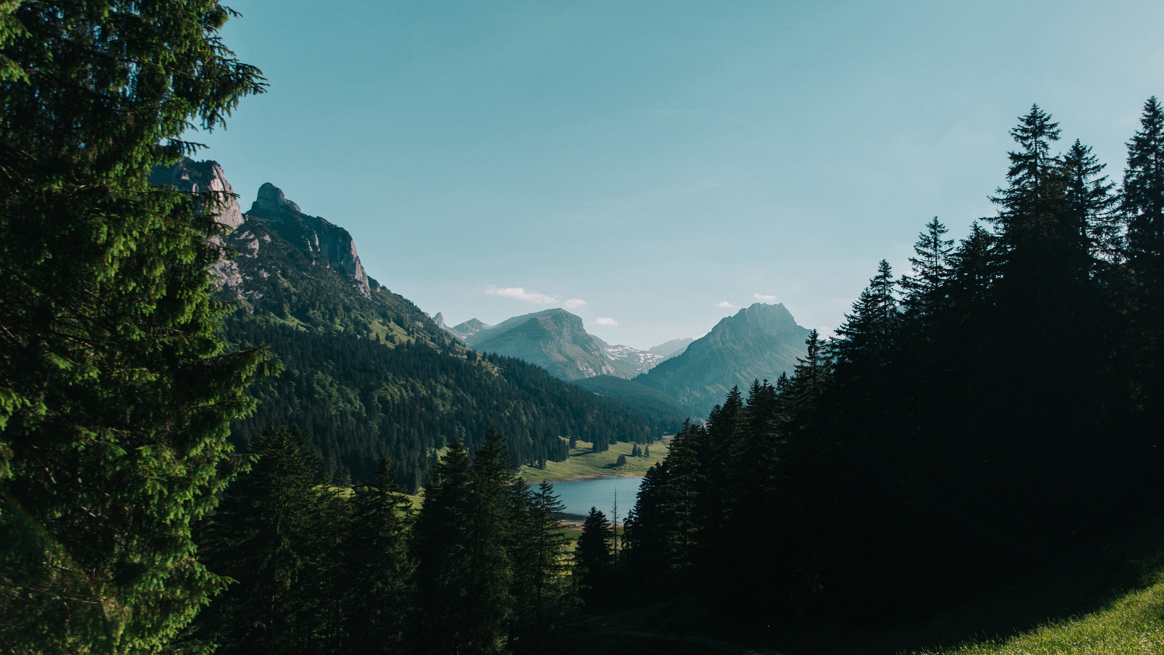 4K,风景,森林,湖泊