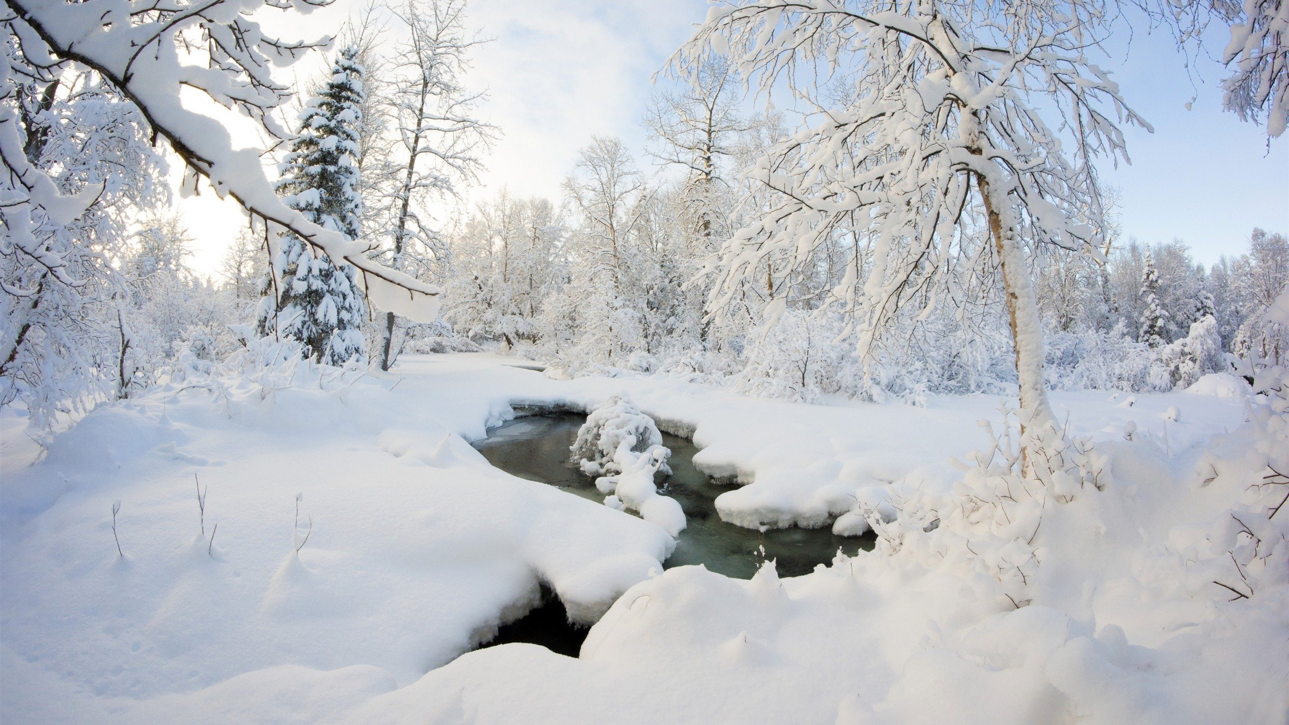 风景,2K,冰天雪地,雪景,溪流