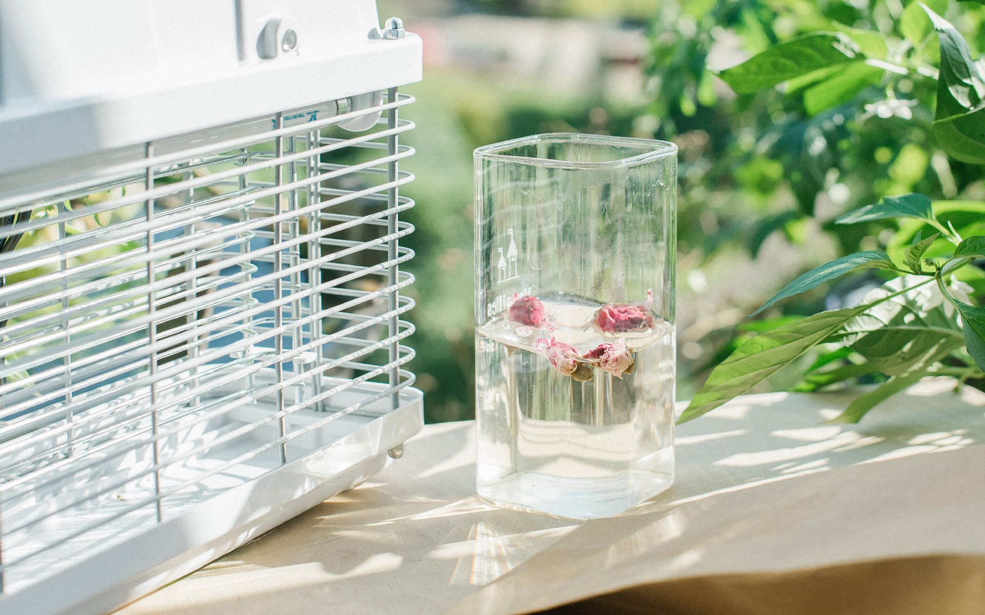 小清新,静物写真