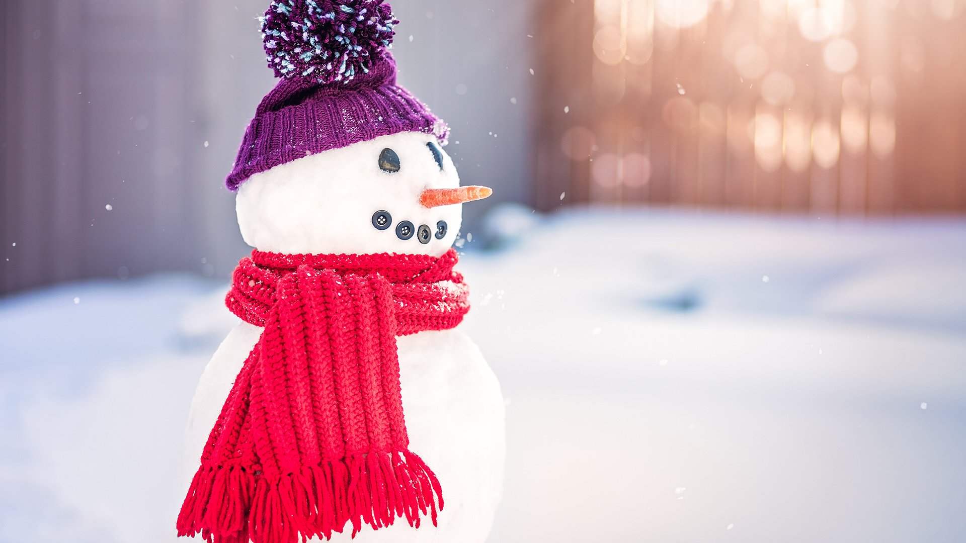 小清新,温馨一刻