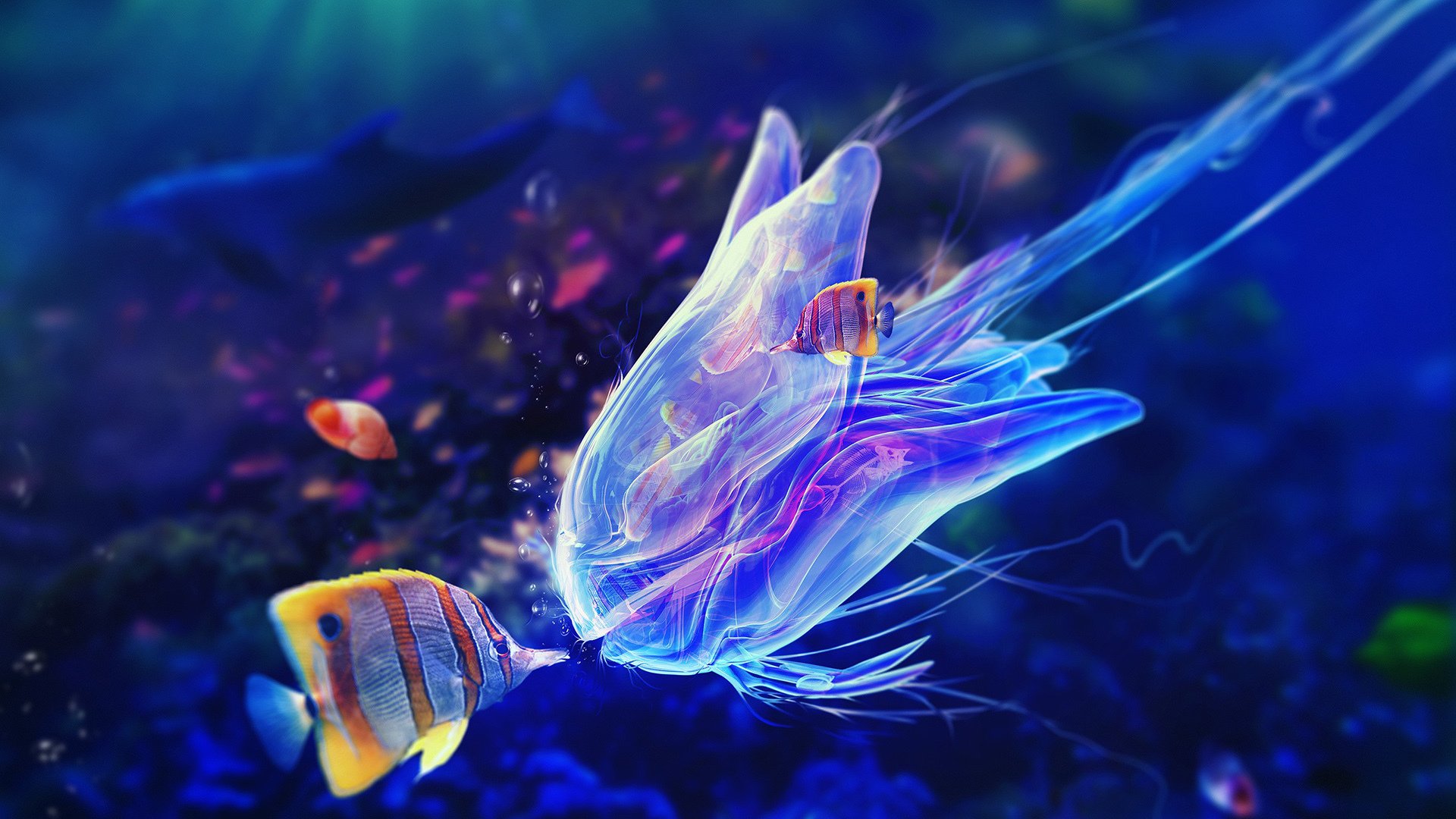 炫酷,海底世界,水族馆,鱼