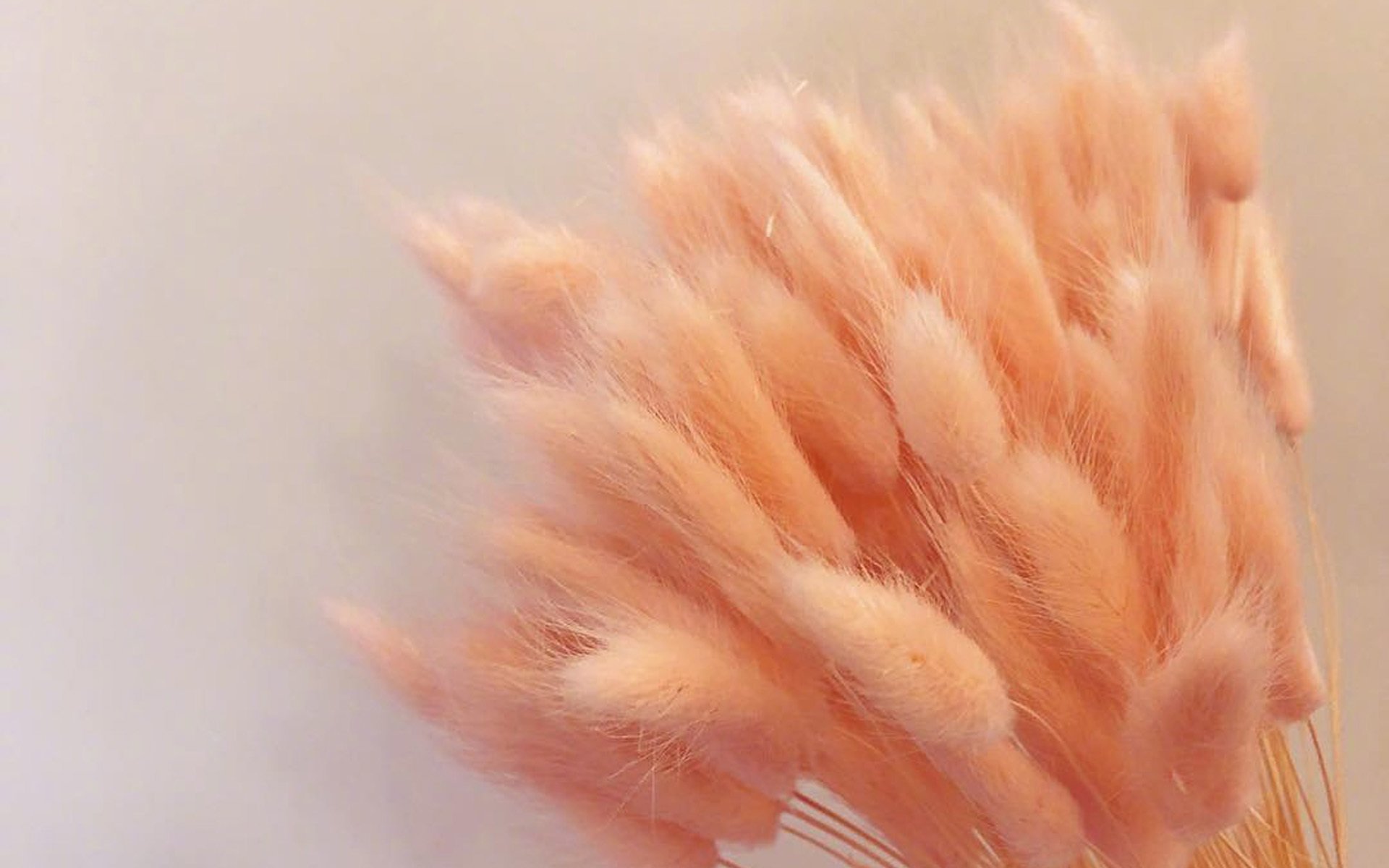 小清新,温馨一刻