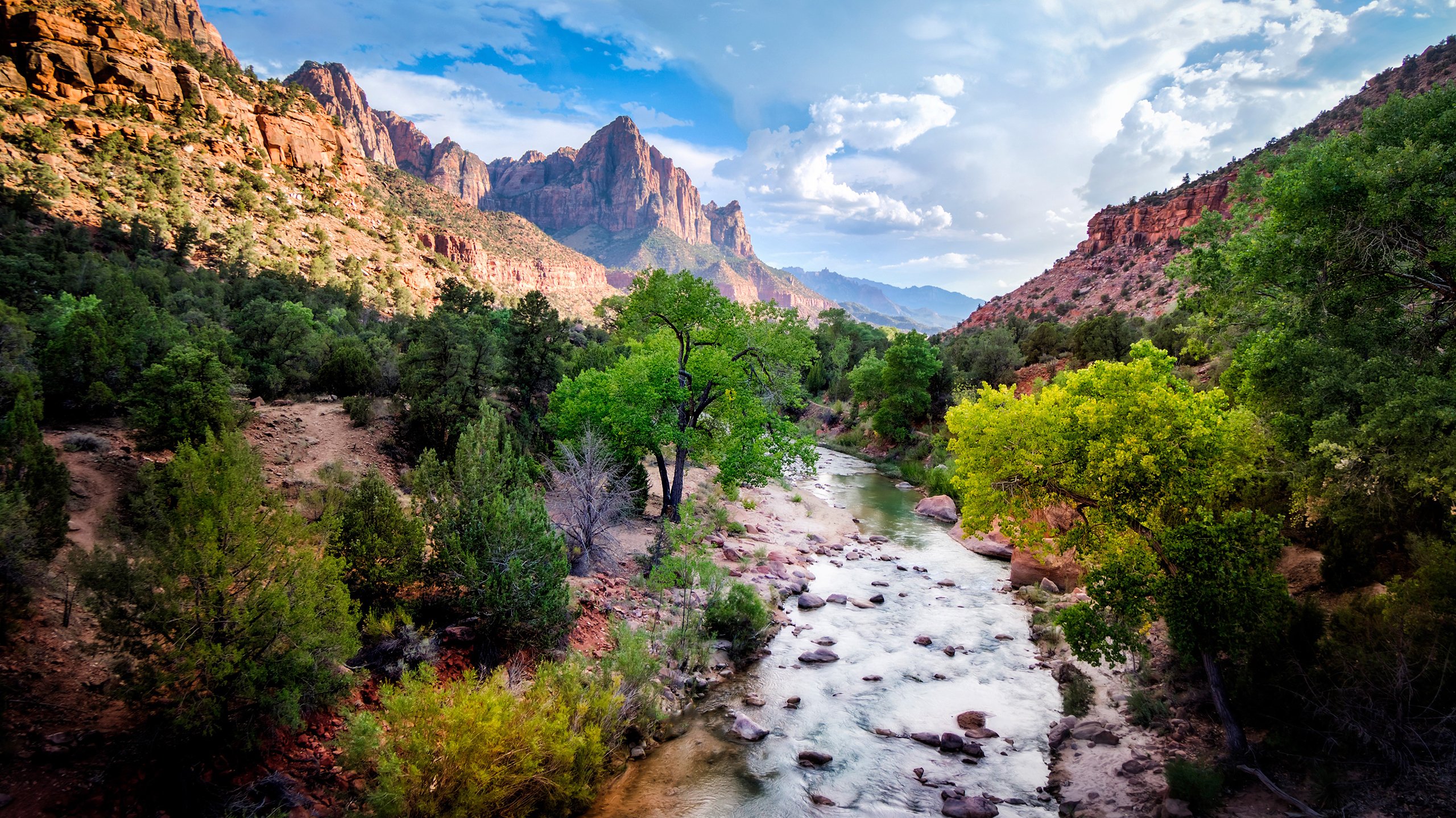 风景,自然风光,高山,峡谷