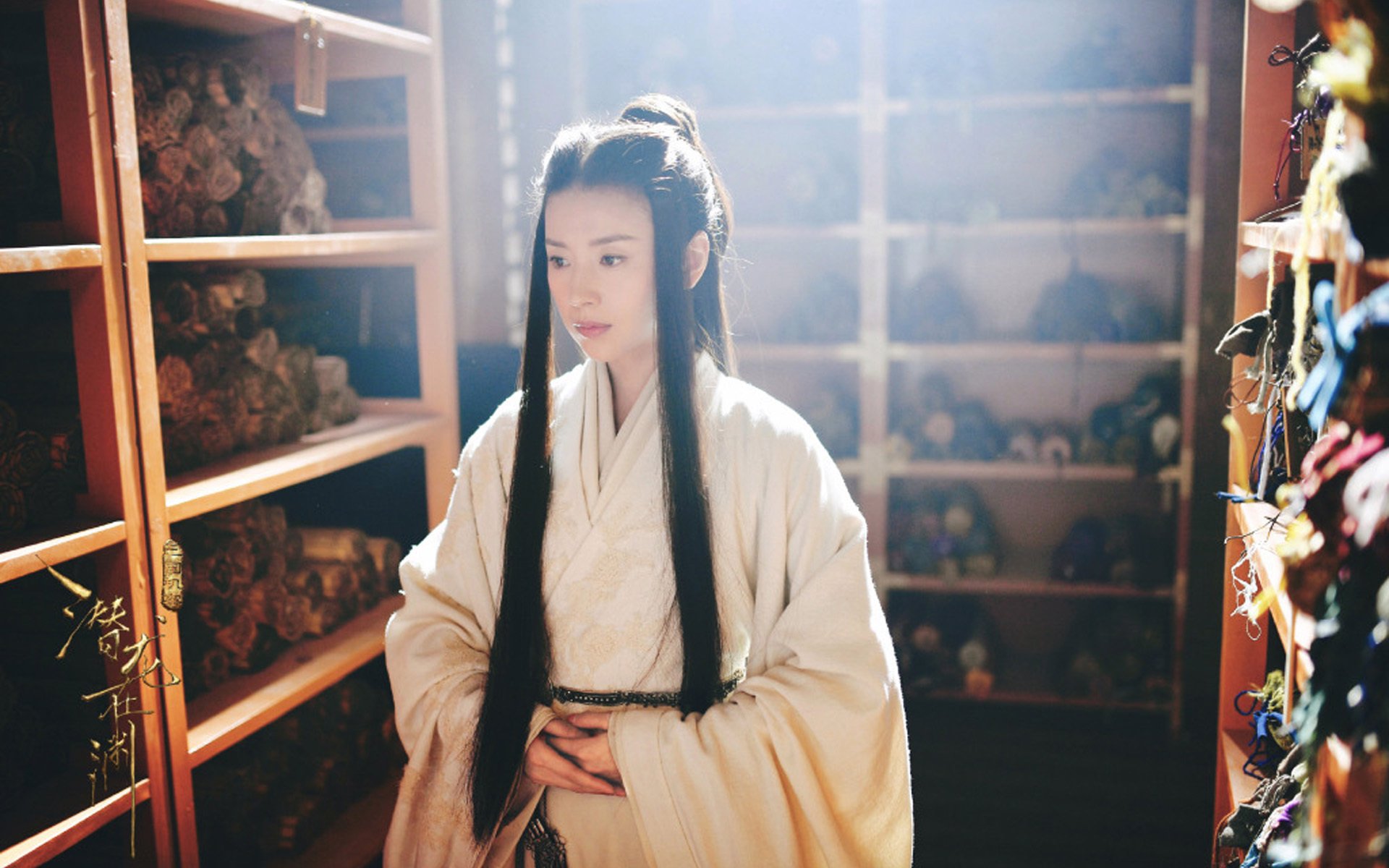 影视,电视剧,董洁,三国机密之潜龙在渊