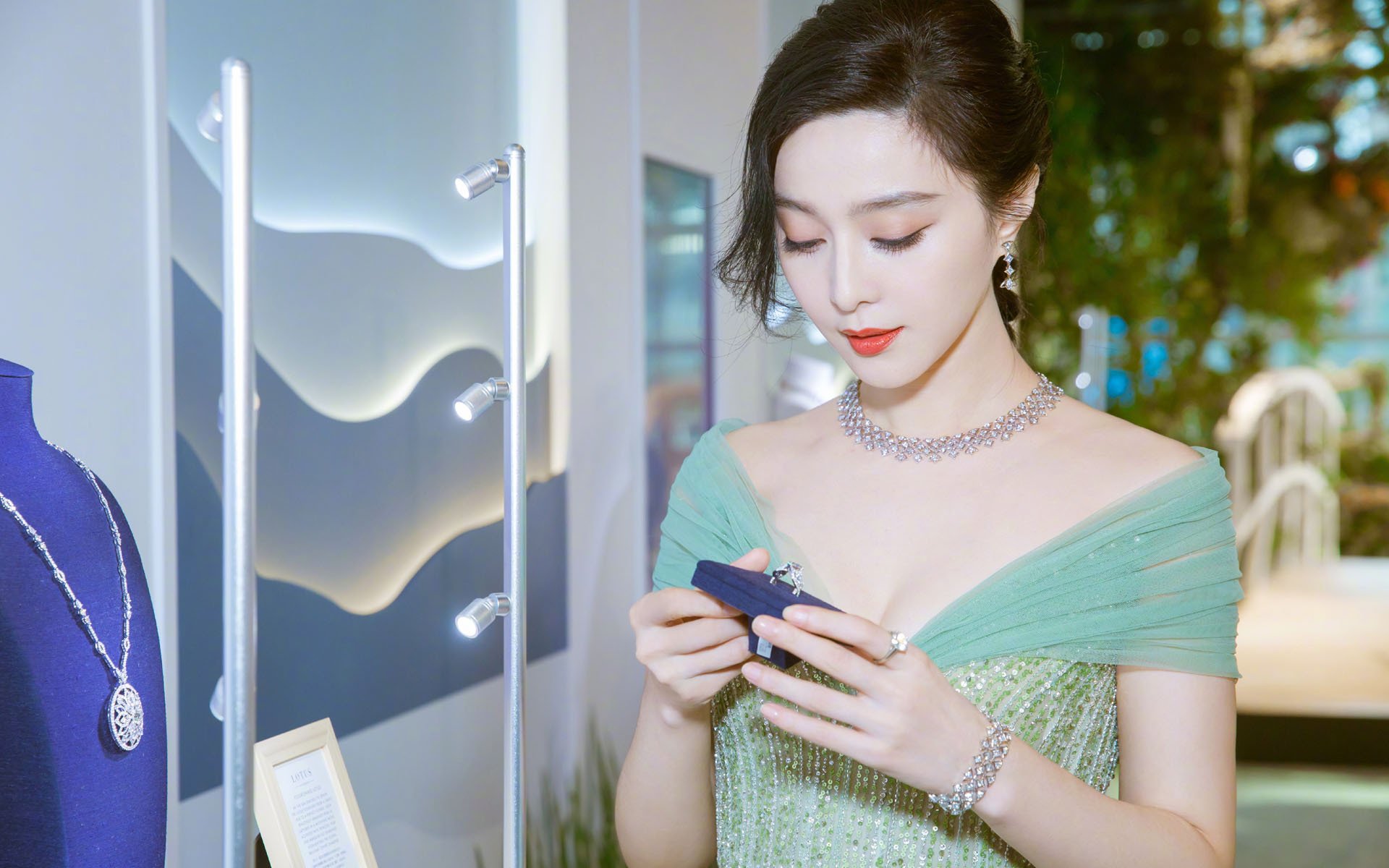 内地明星,范冰冰