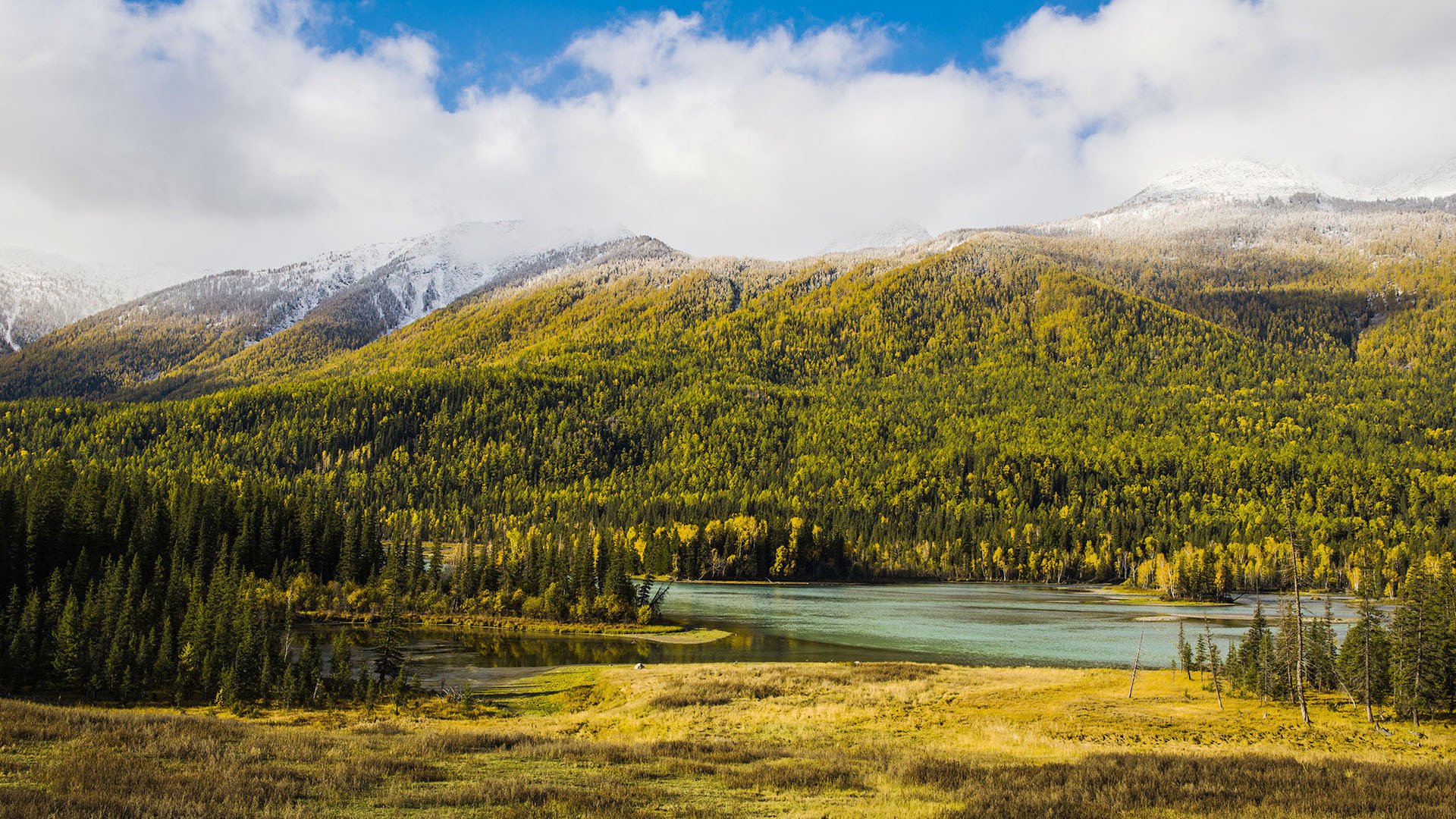 风景,自然风光,喀纳斯