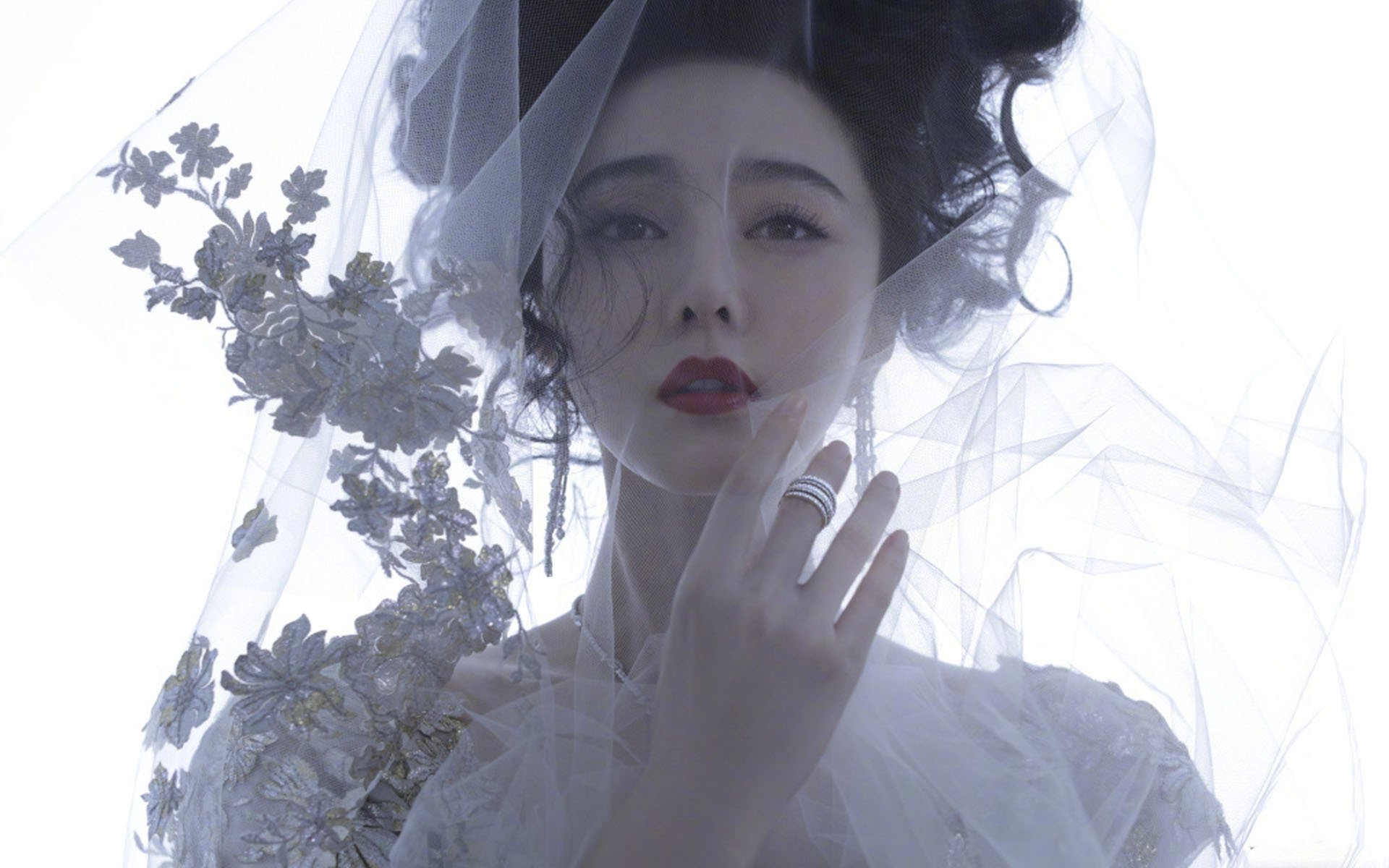 内地明星,范冰冰