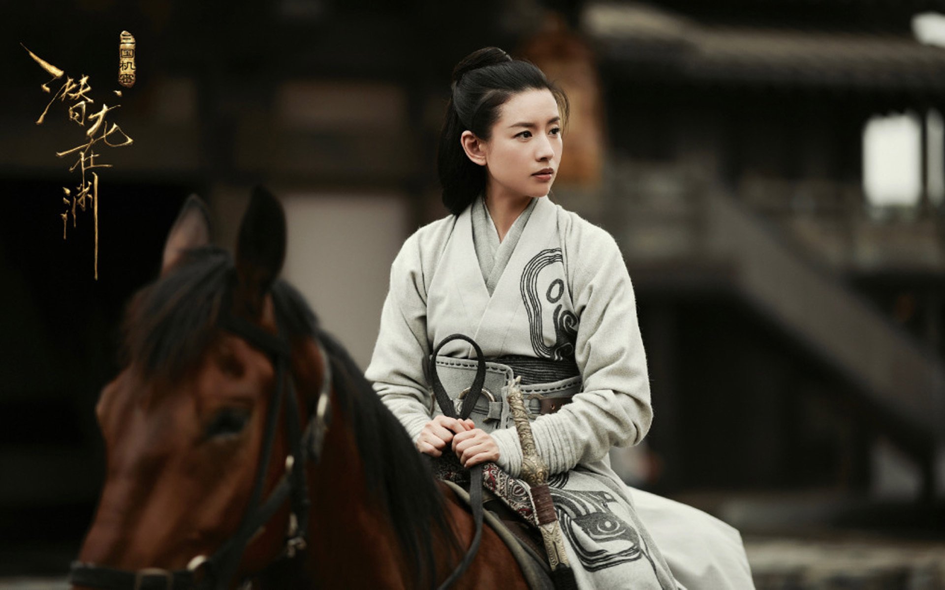 影视,电视剧,董洁,三国机密之潜龙在渊