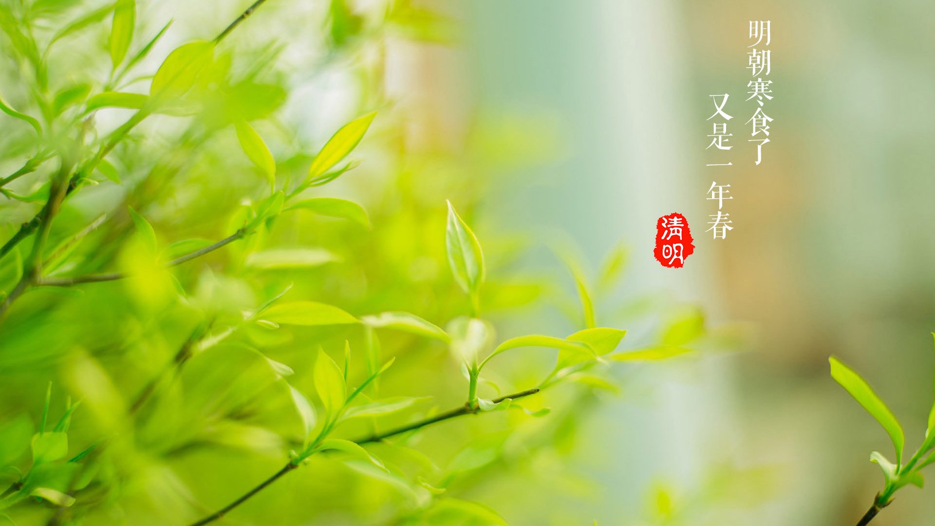 节日,清明,寒食