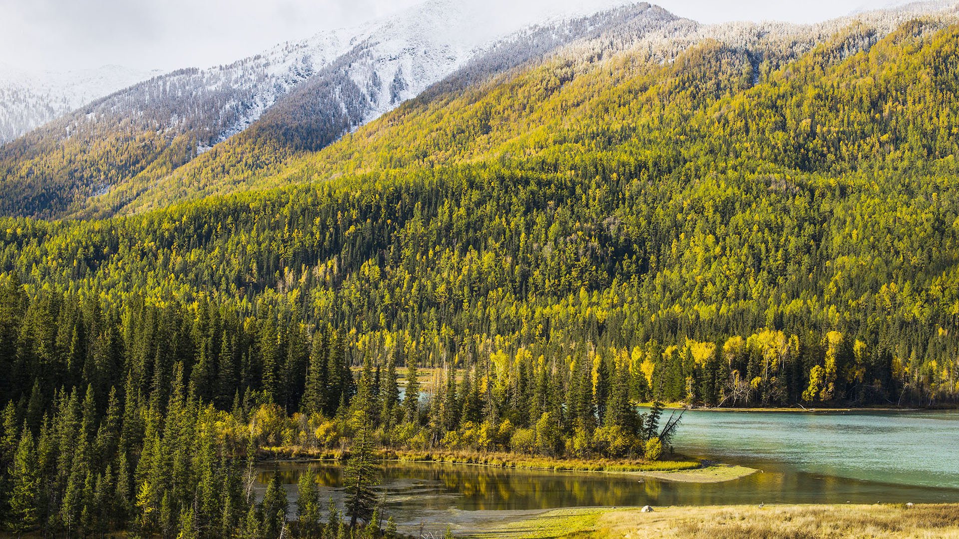 风景,自然风光,喀纳斯