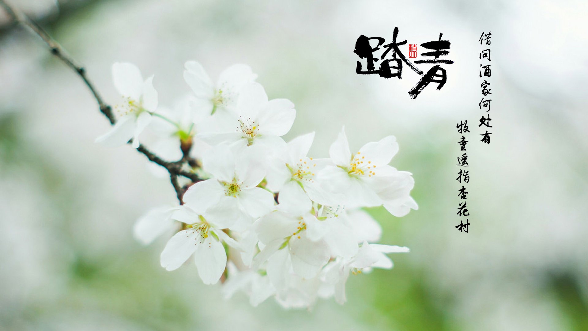 节日,清明,寒食