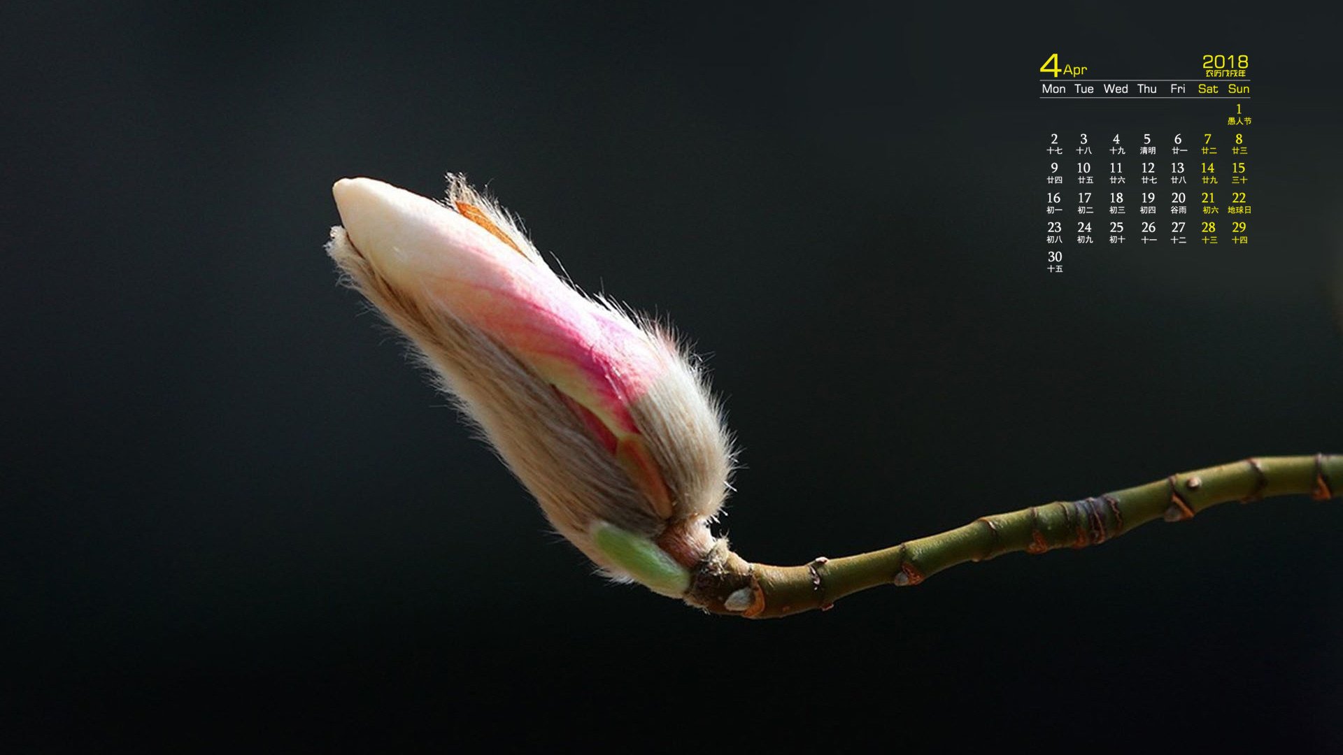 月历,2018年4月