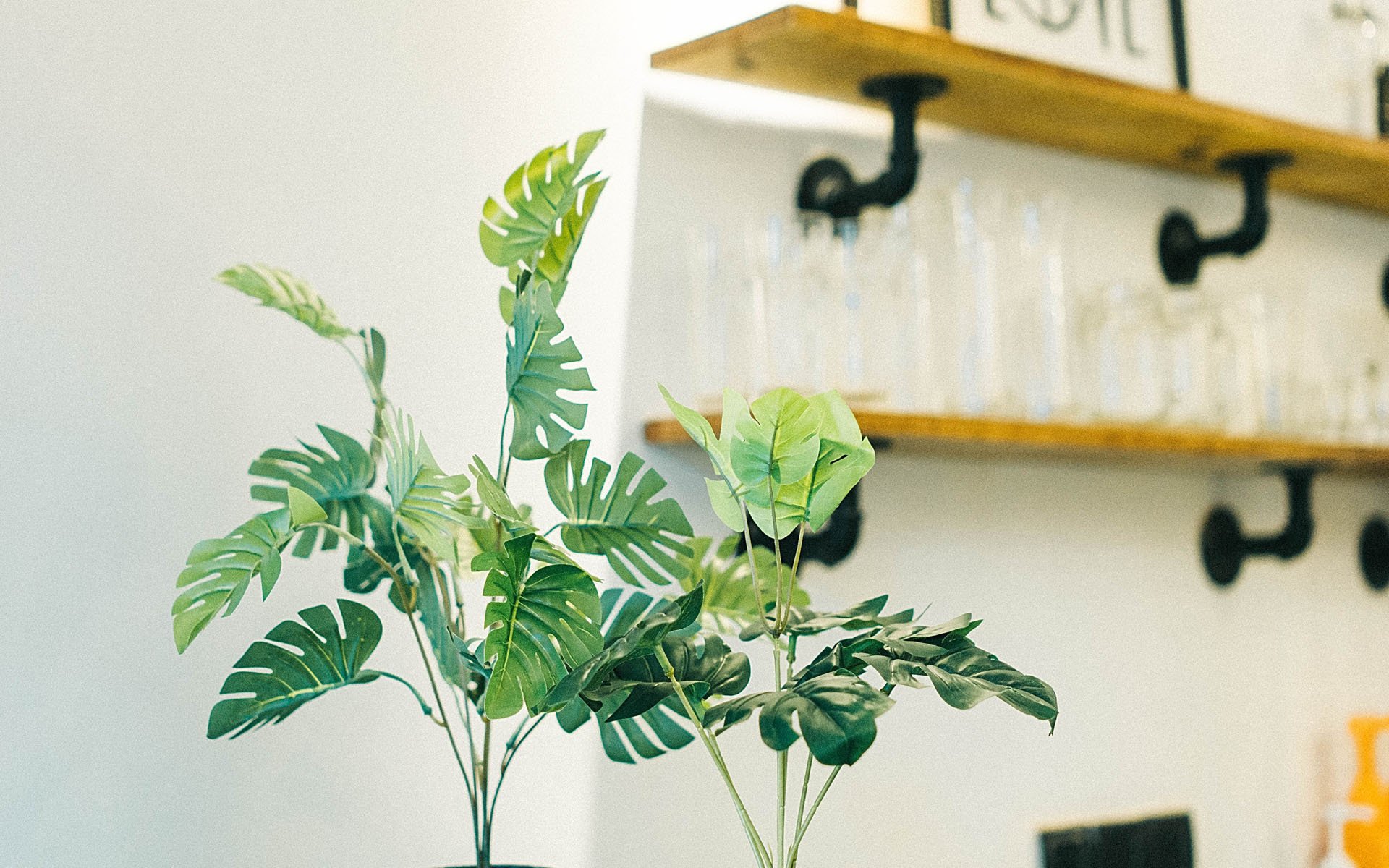 小清新,静物写真