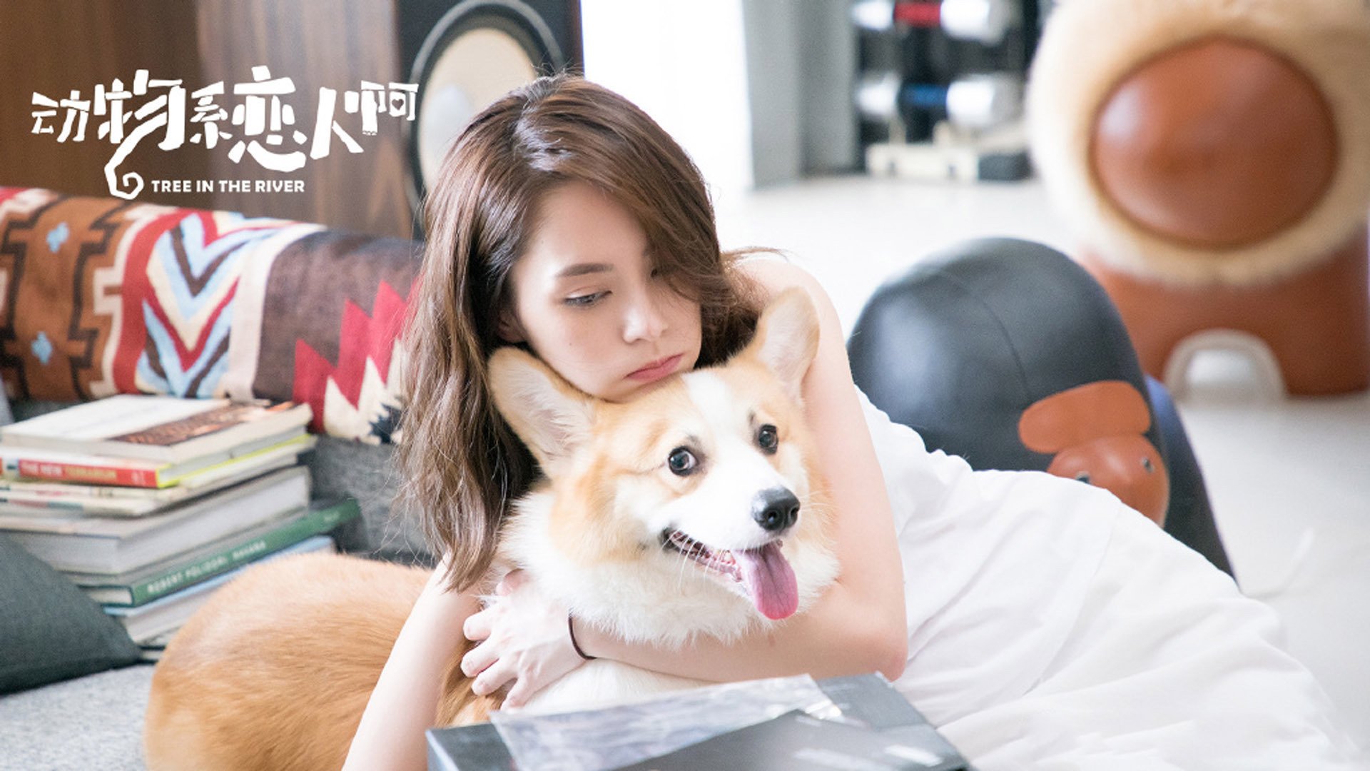 影视,动物系恋人啊