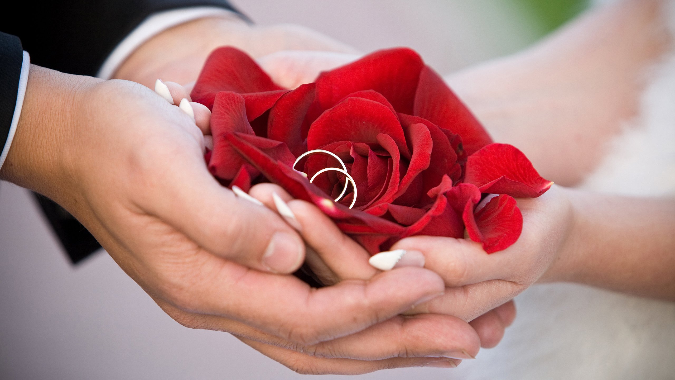 爱情,玫瑰,戒指