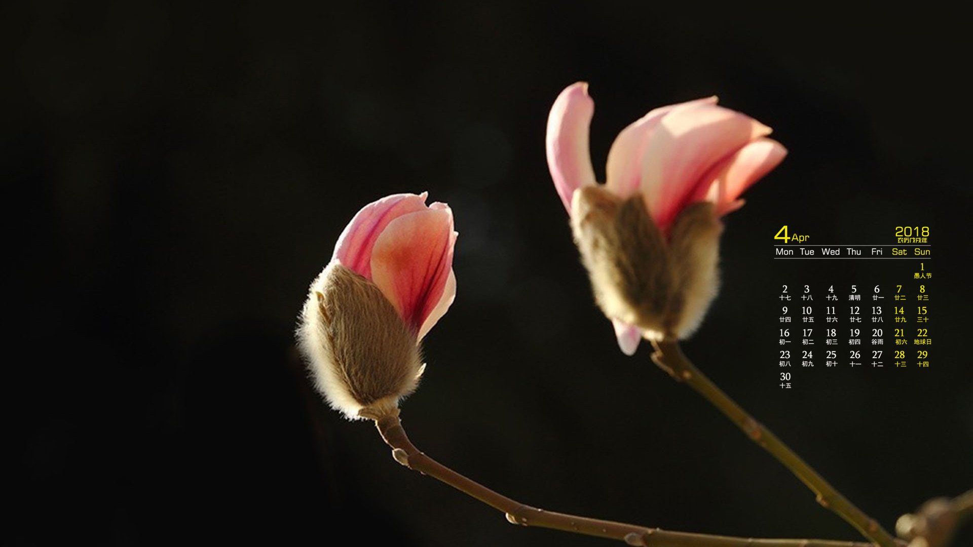 月历,2018年4月