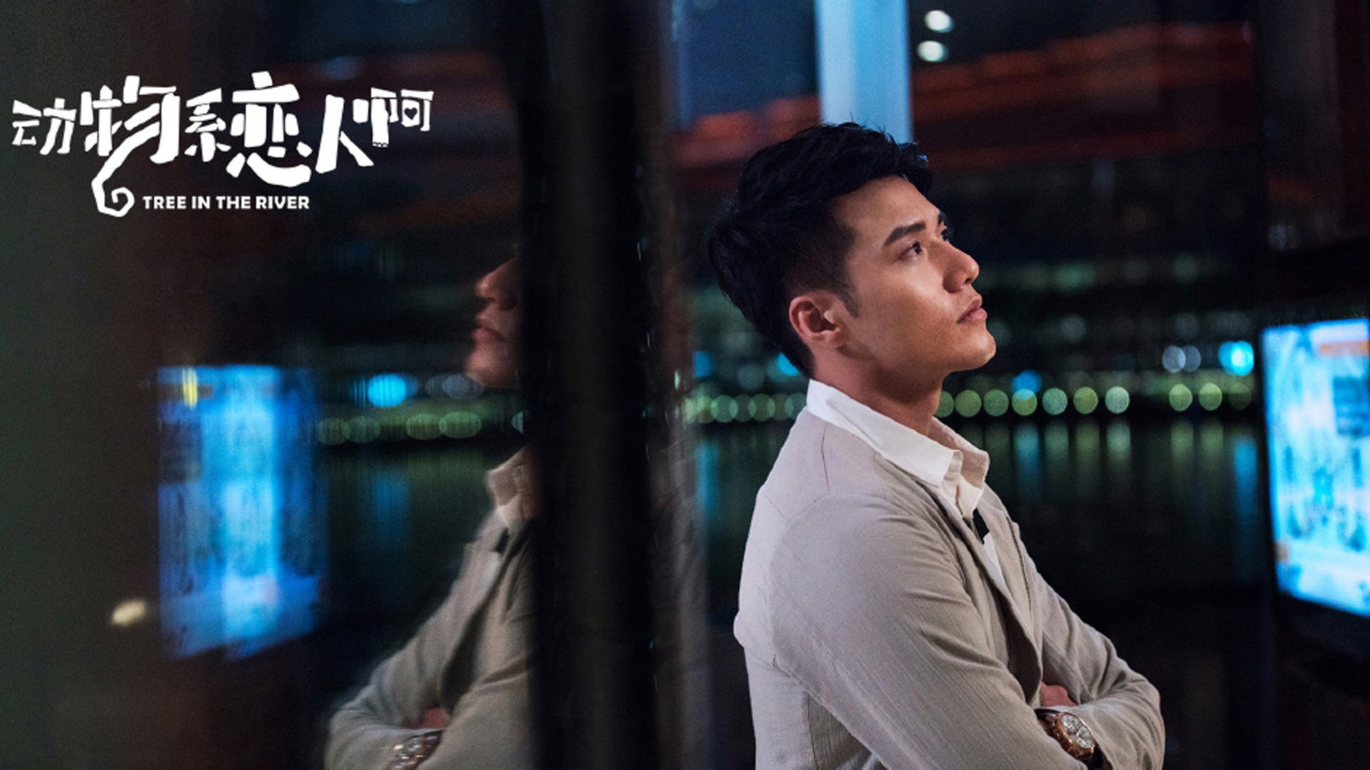 影视,电视剧,动物系恋人啊