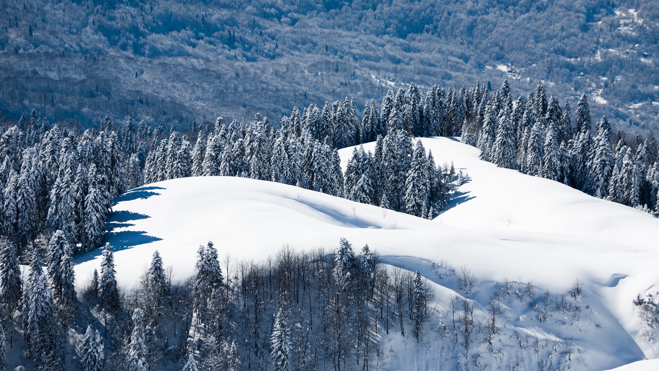 风景,冰天雪地