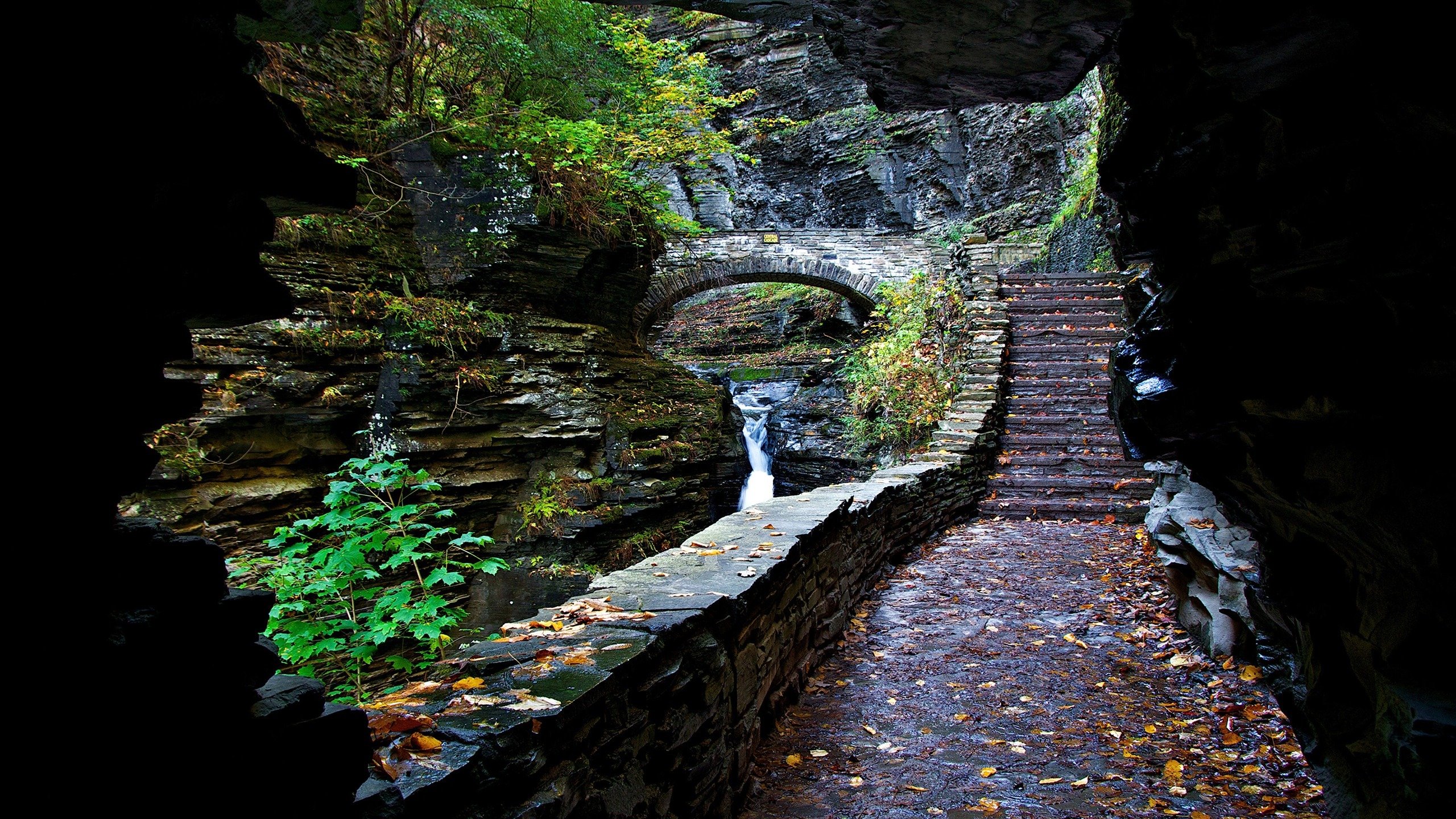 风景,2K,自然风光,多雨,森林,瀑布,洞穴,石楼梯