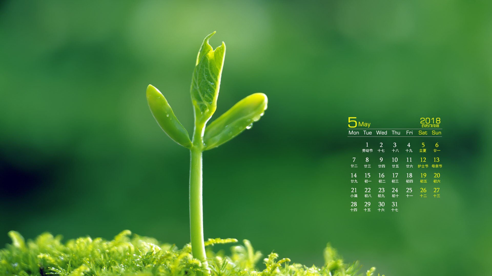月历,2018年5月