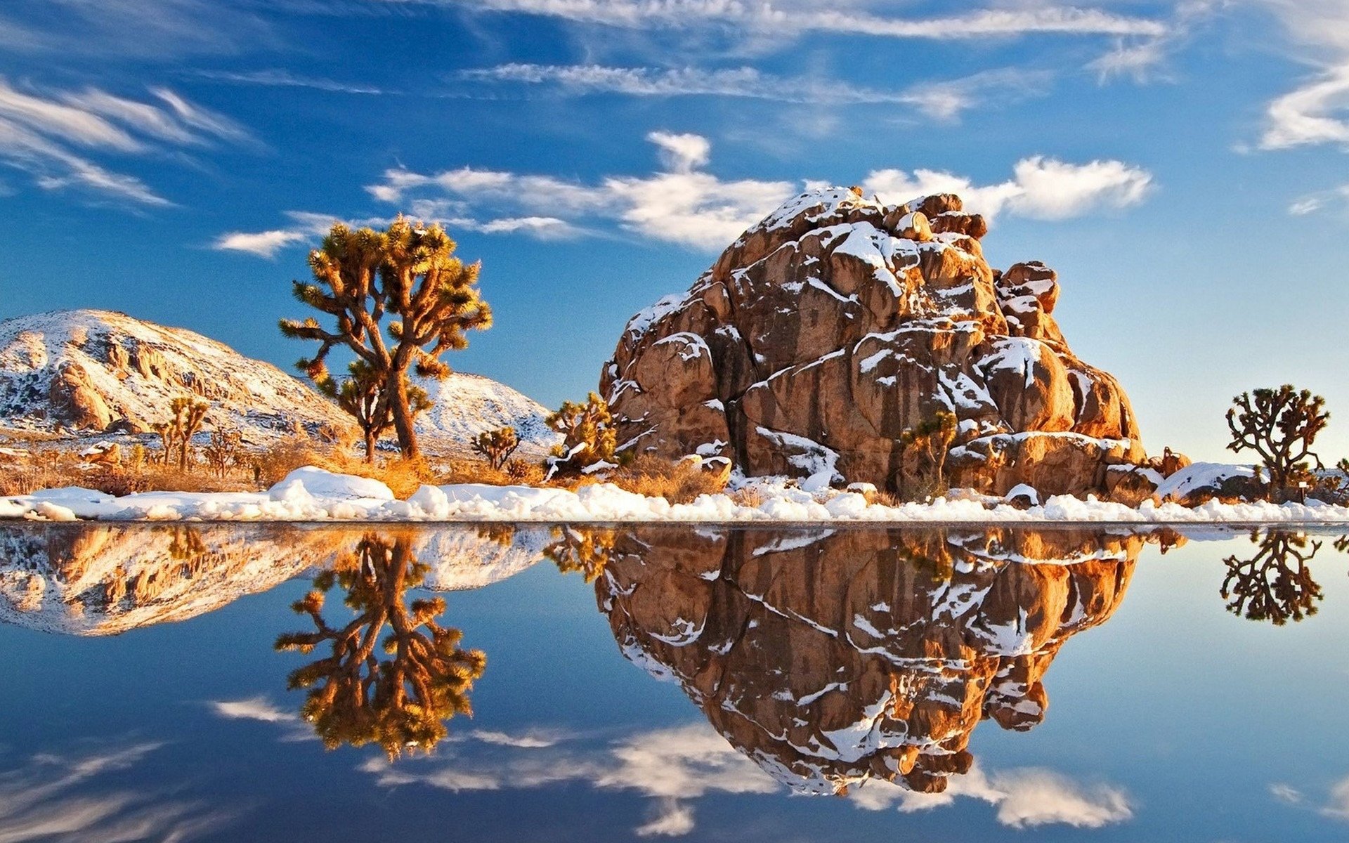 冰天雪地,水中的山树倒影