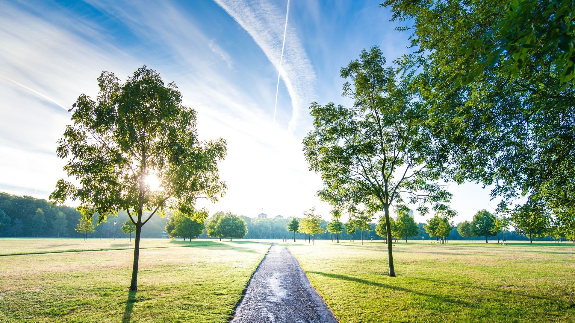 风景,春意盎然,草地
