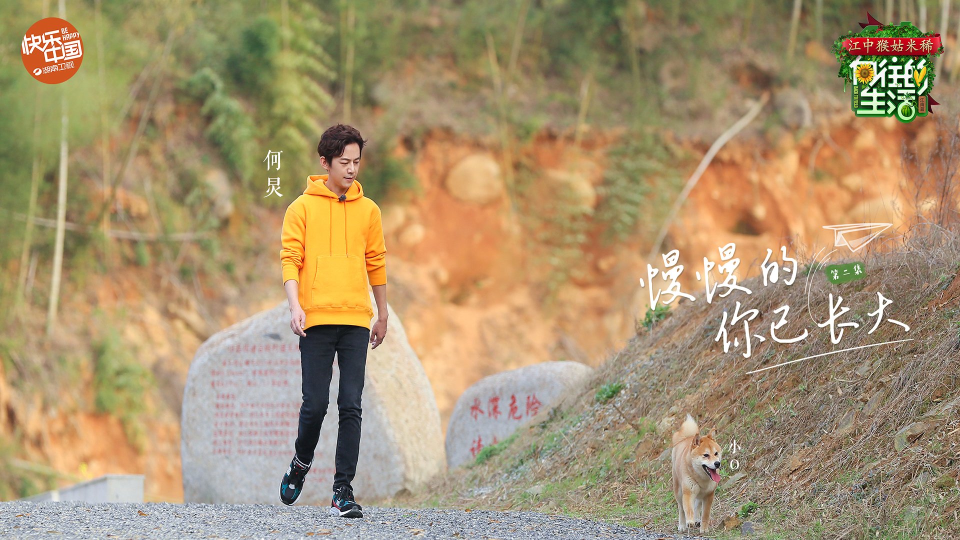 影视,综艺,向往的生活2,何灵