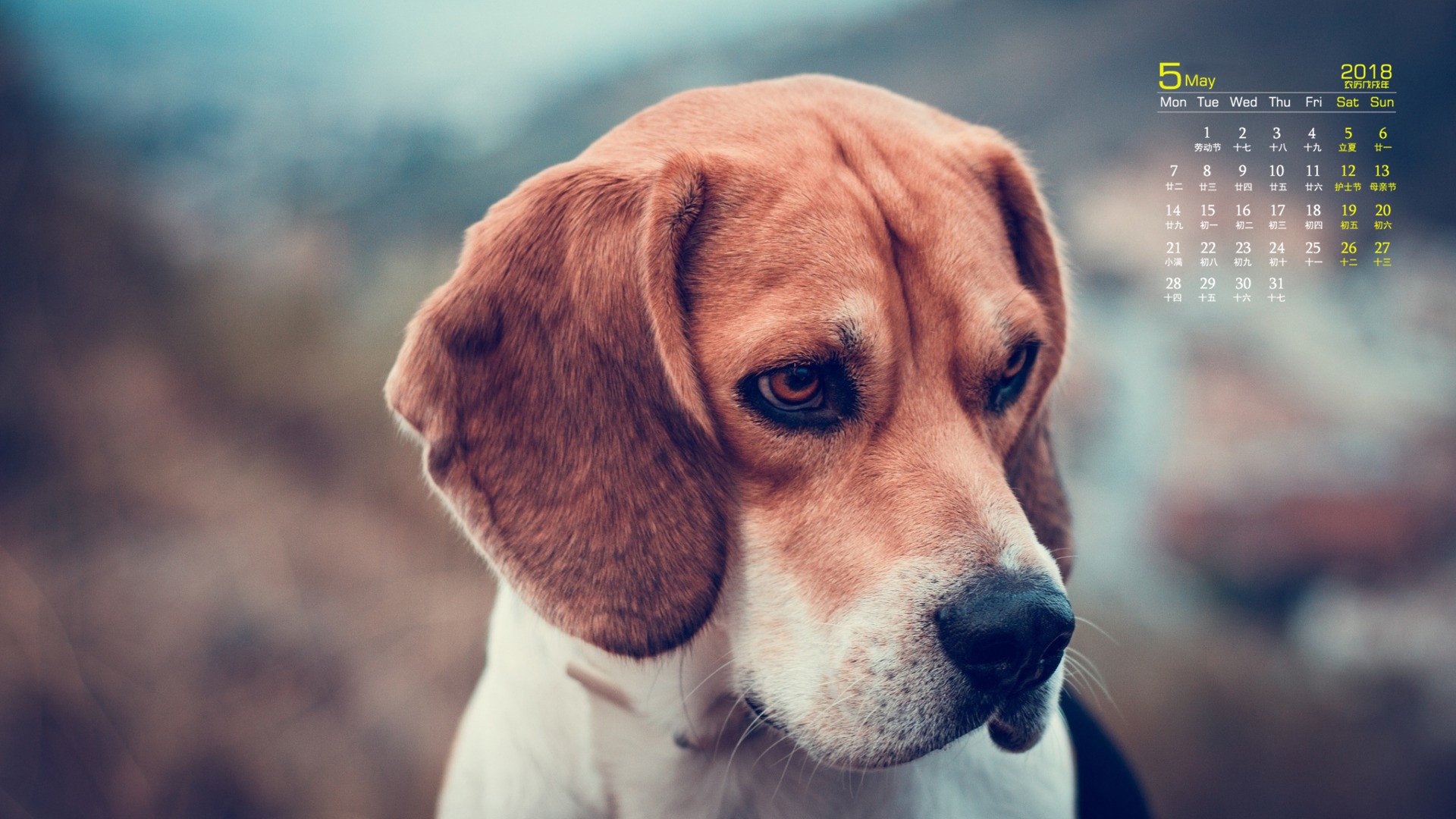 月历,2018年5月