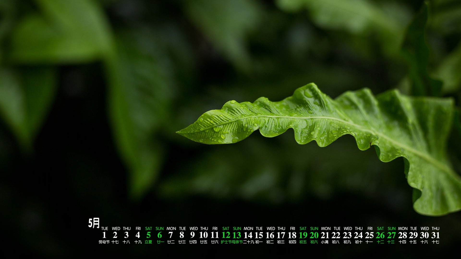 月历,2018年5月