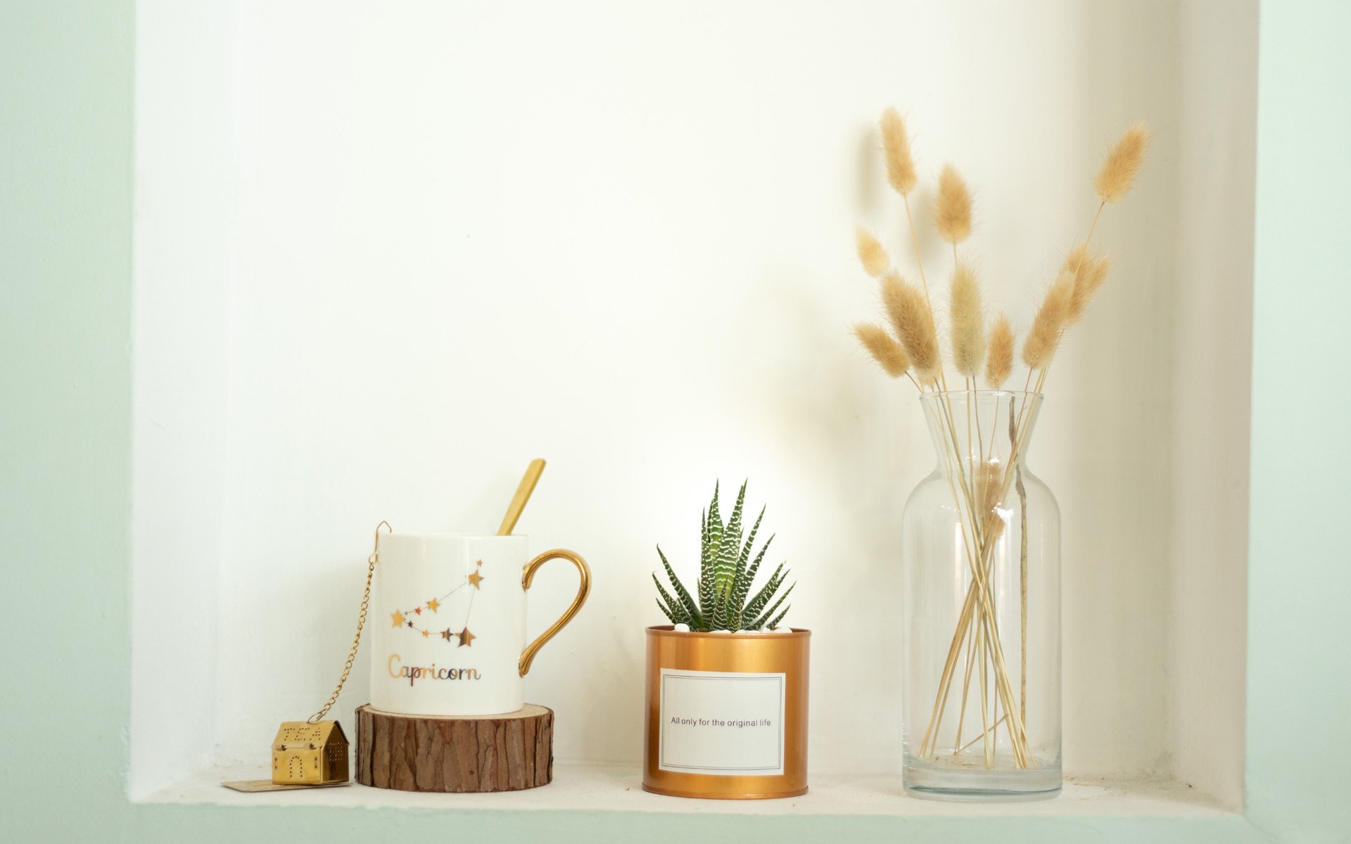 小清新,静物写真