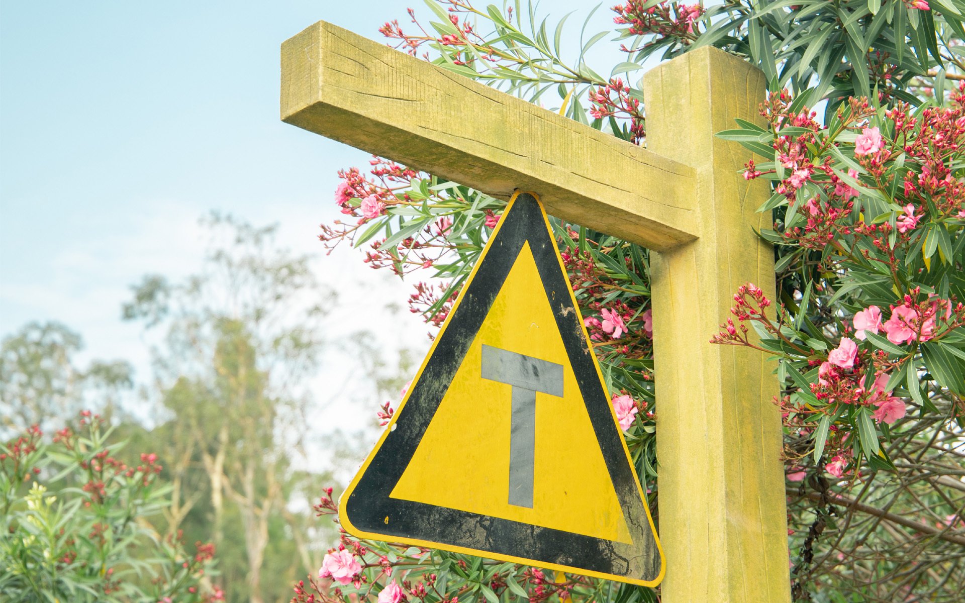 小清新,静物写真