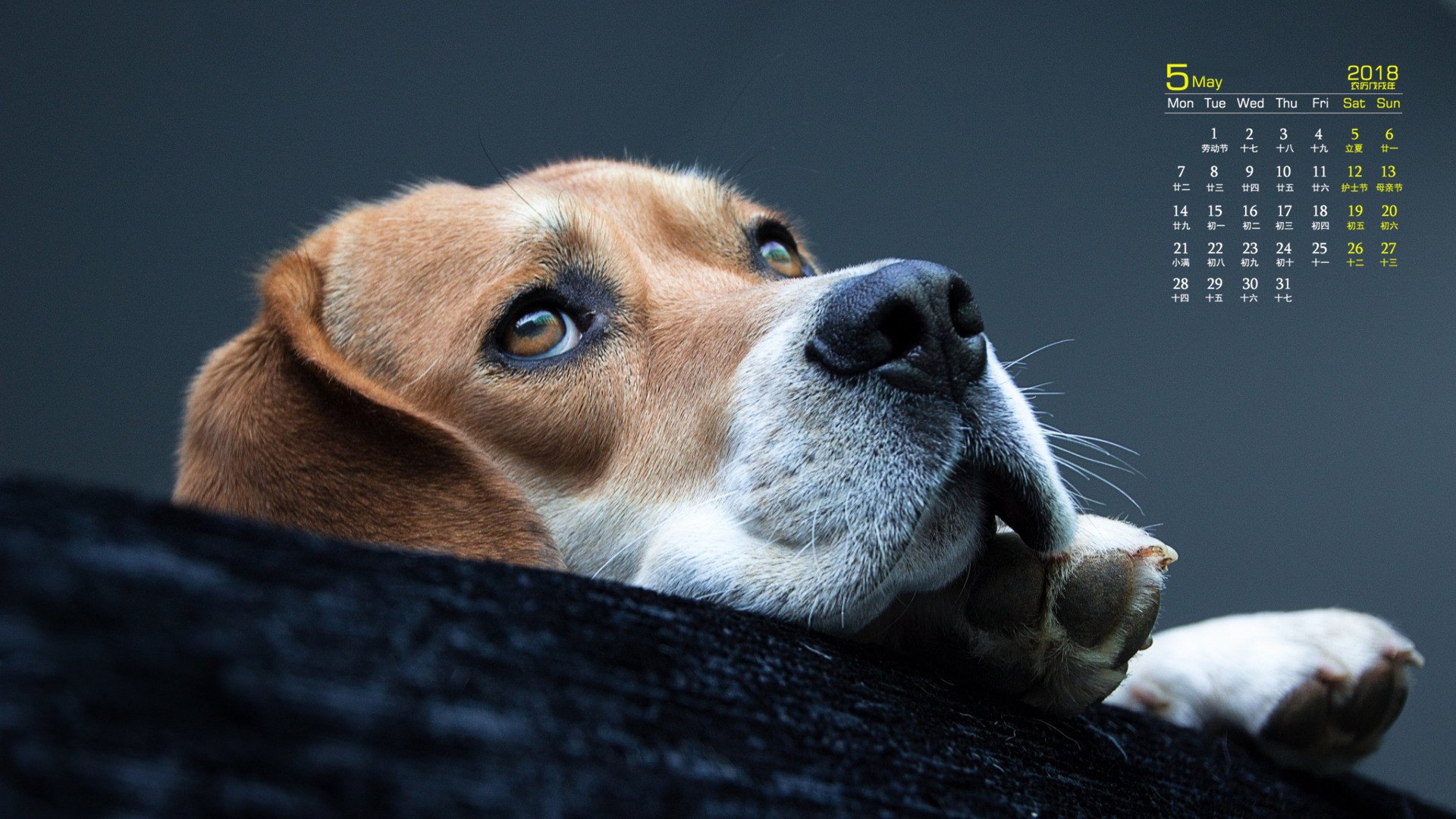 月历,2018年5月