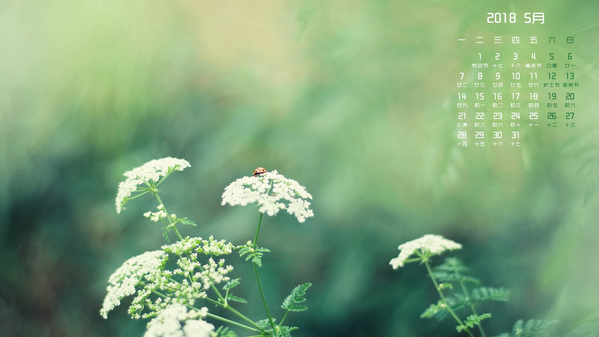 月历,2018年5月
