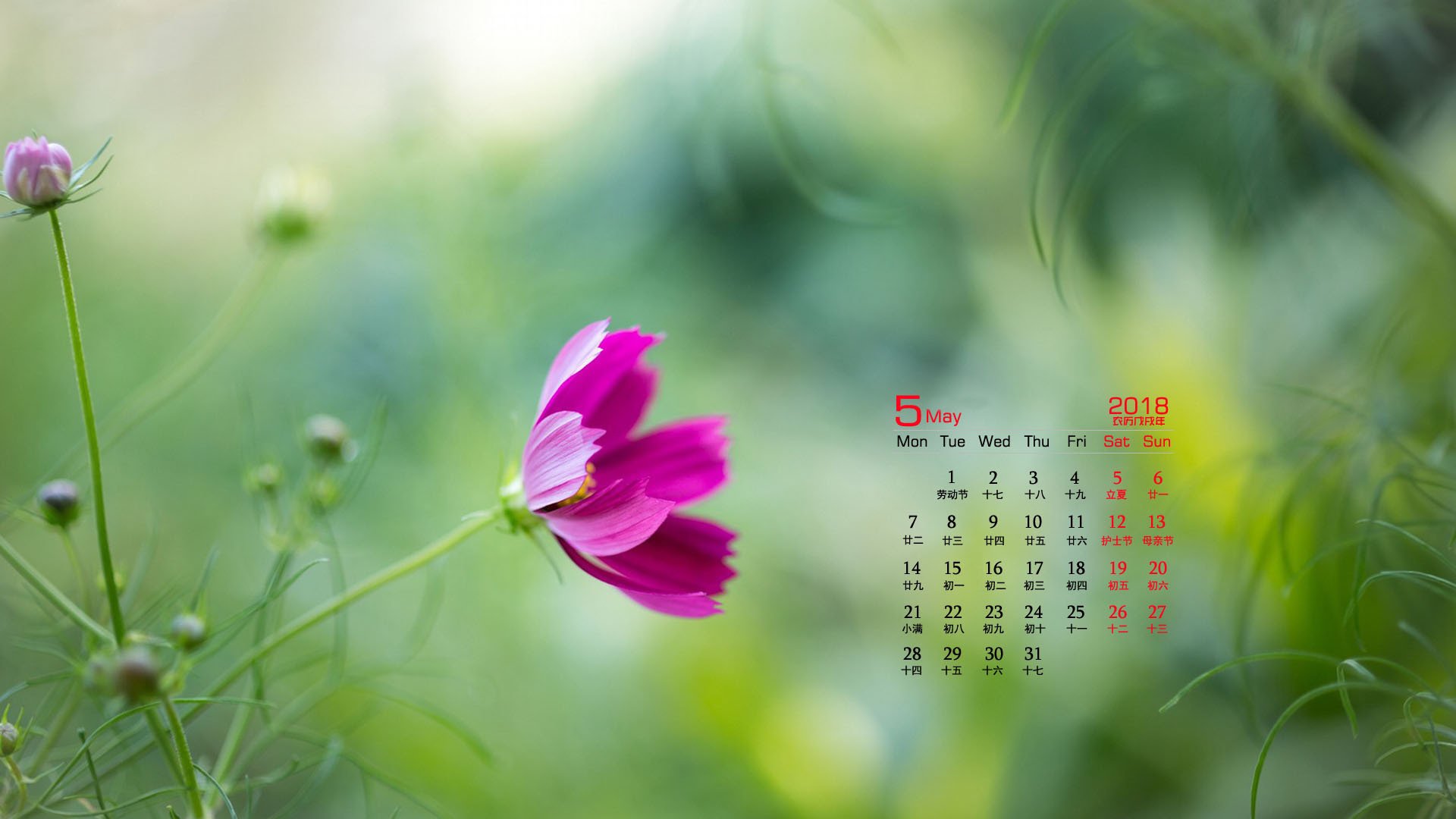 月历,2018年5月