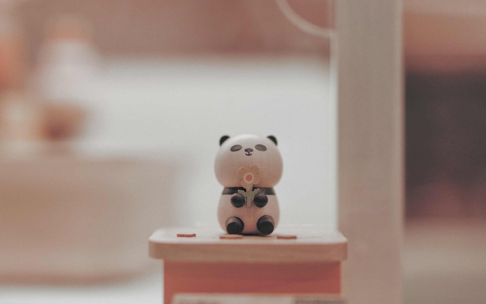 小清新,静物写真