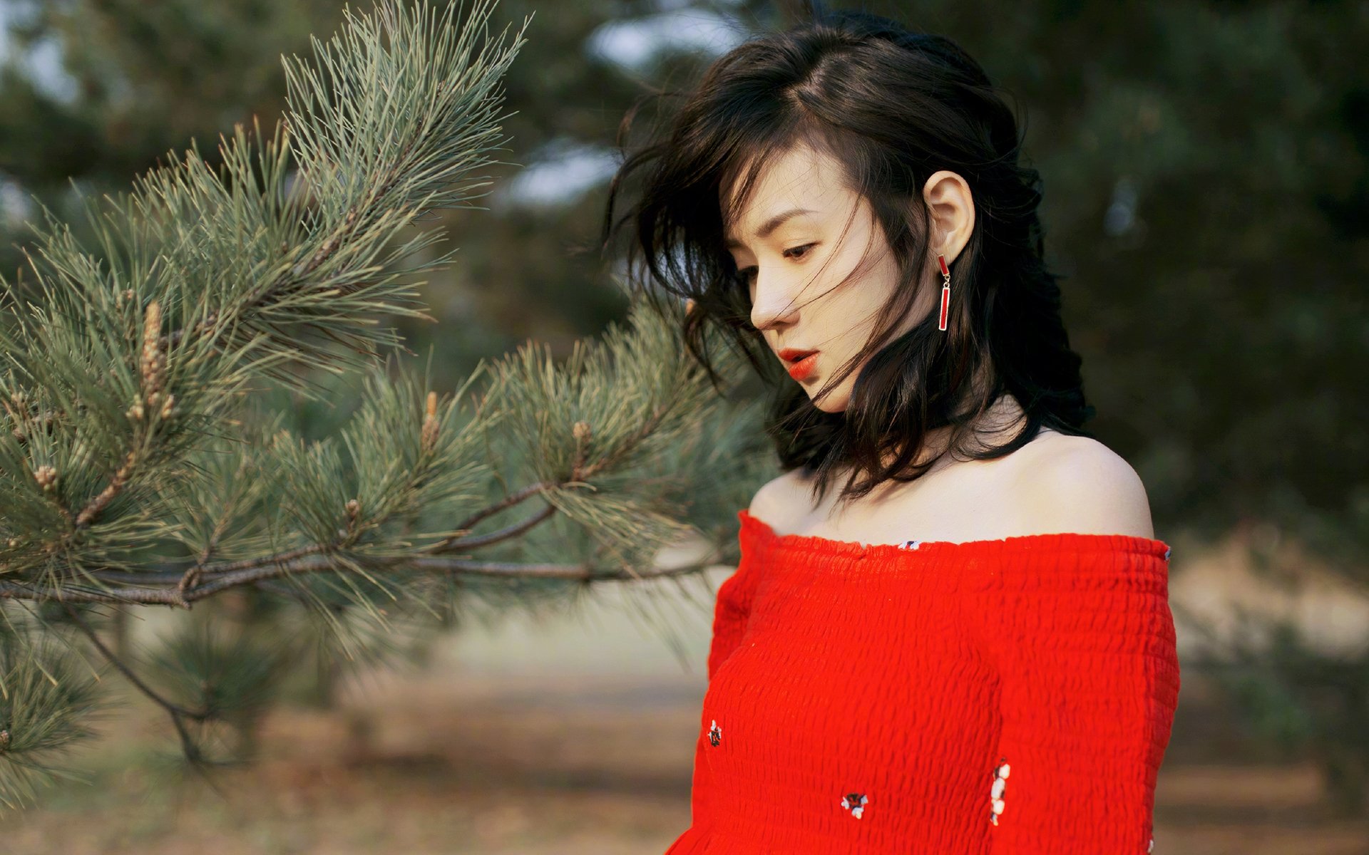 内地明星,郑合惠子