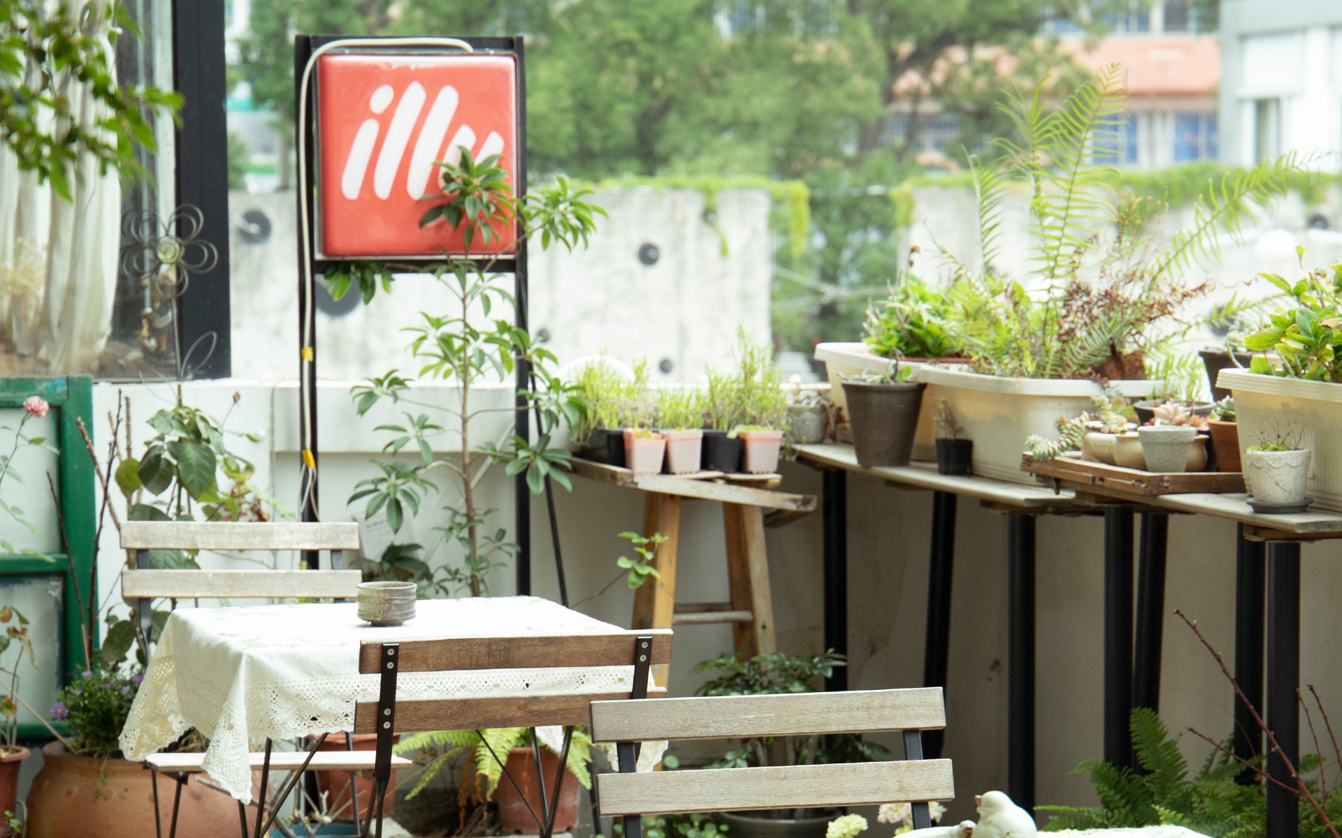 小清新,静物写真